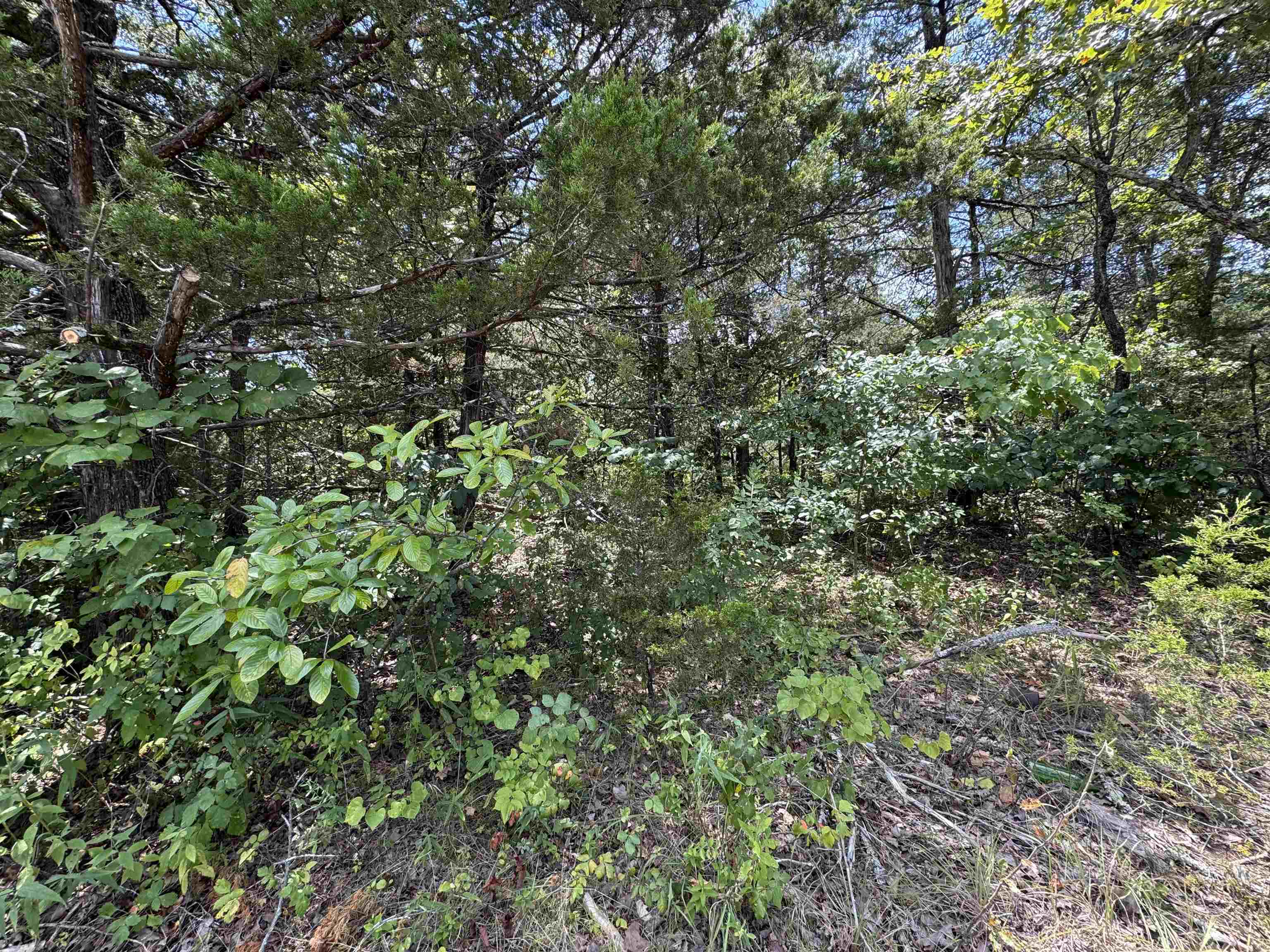 309 W Fairway Drive Property Photo 1