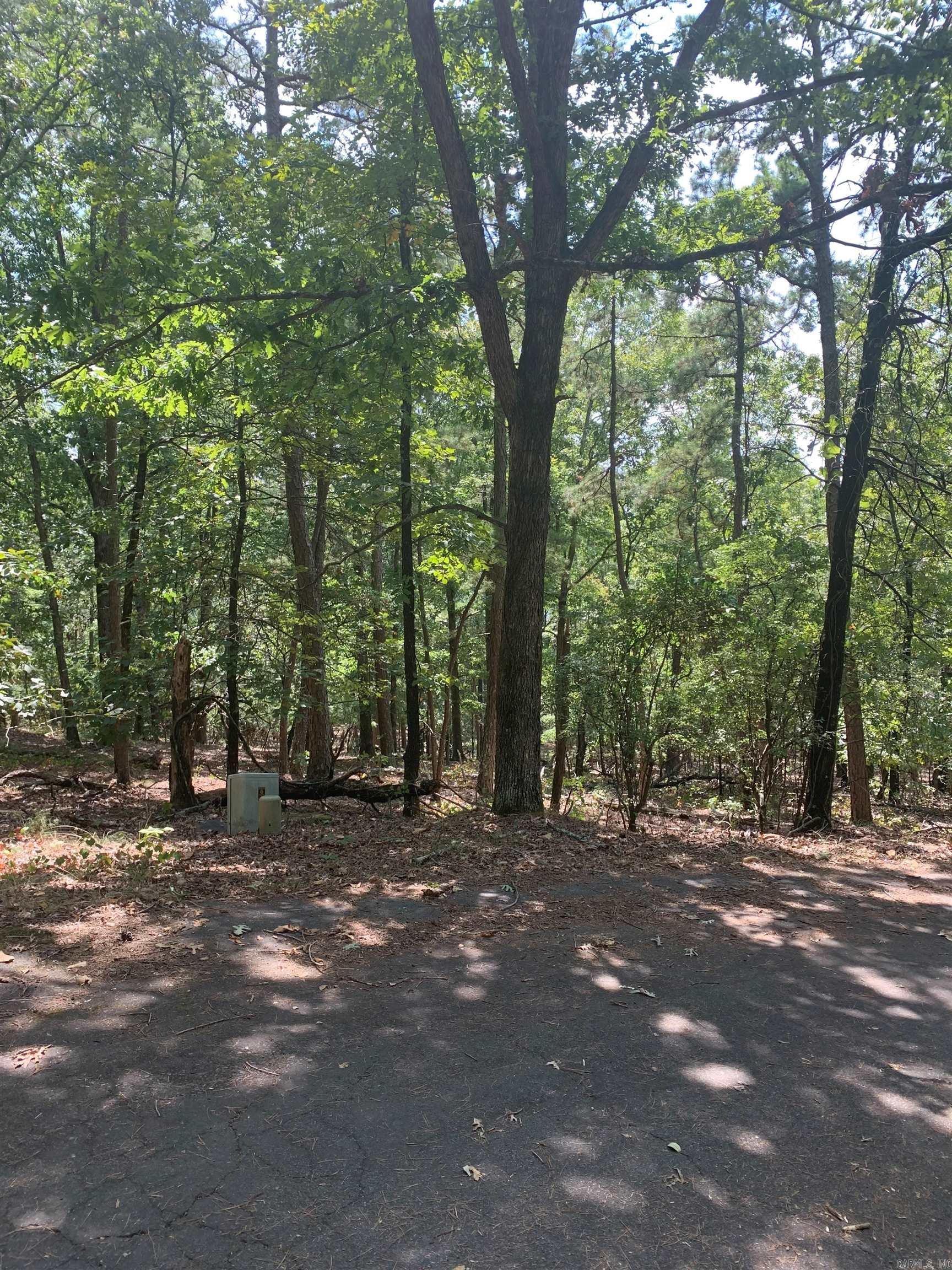 8 La Robla Ln Property Photo 2