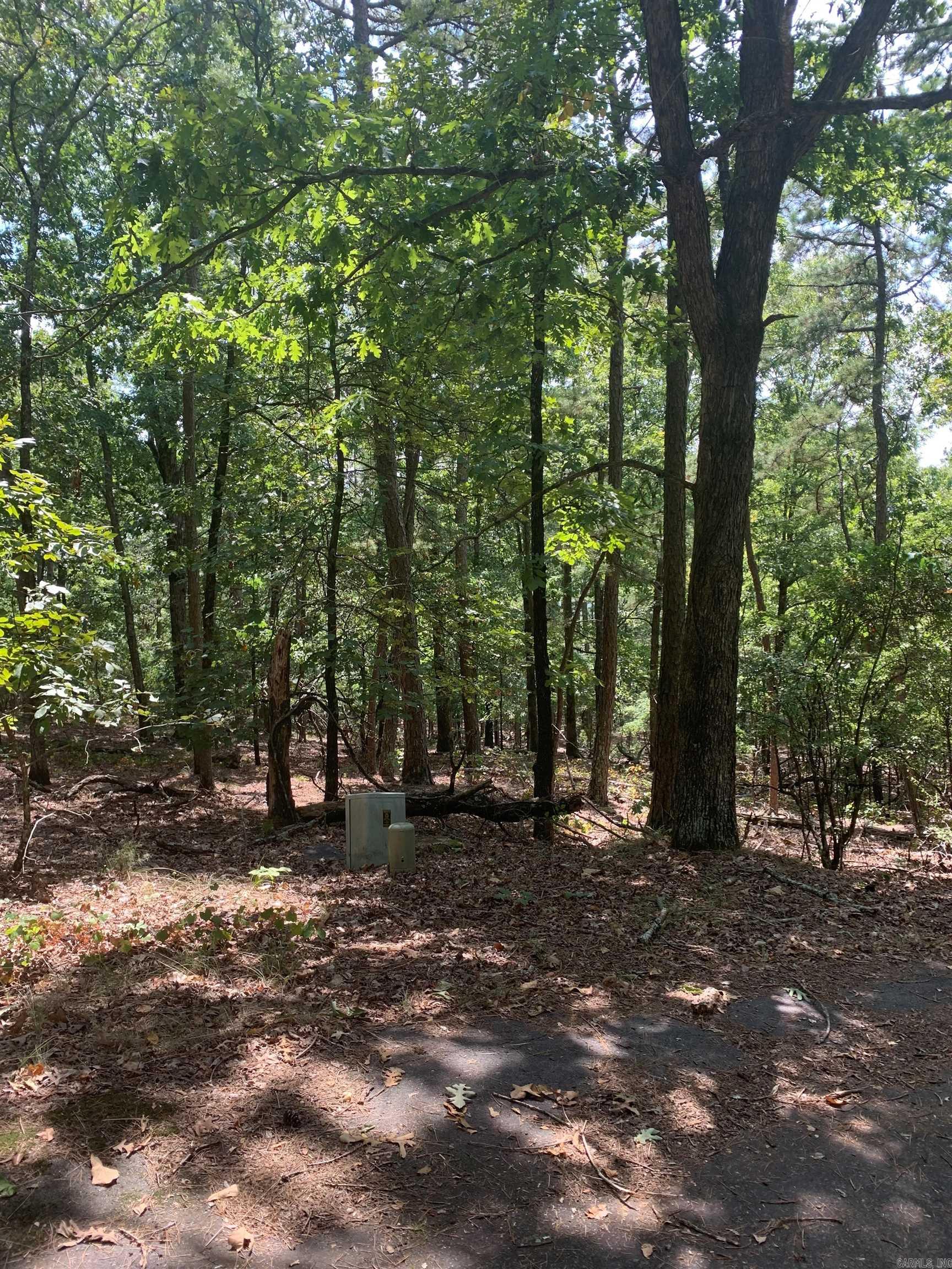 8 La Robla Ln Property Photo 3