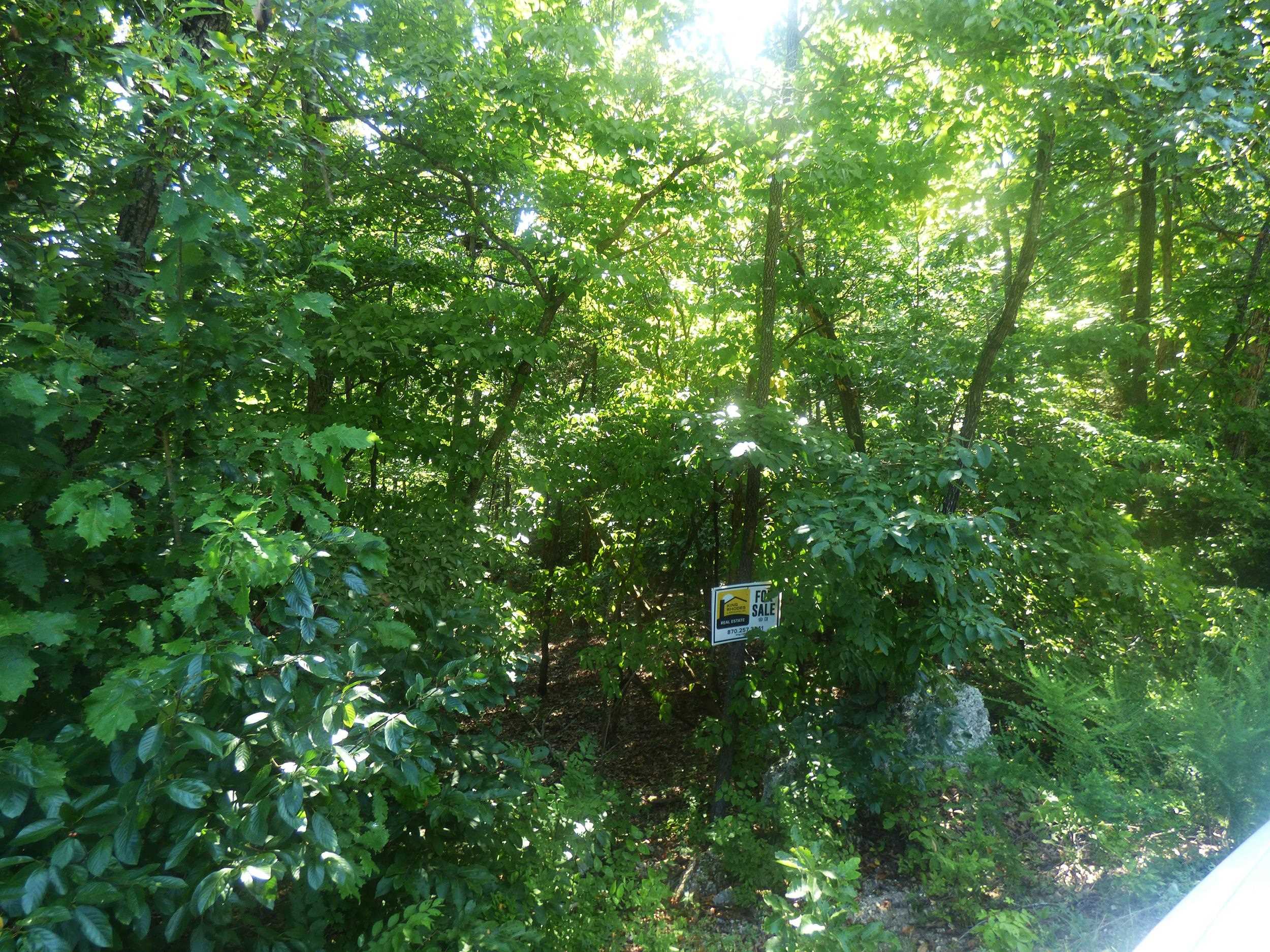 Chesapeake Drive Property Photo 3