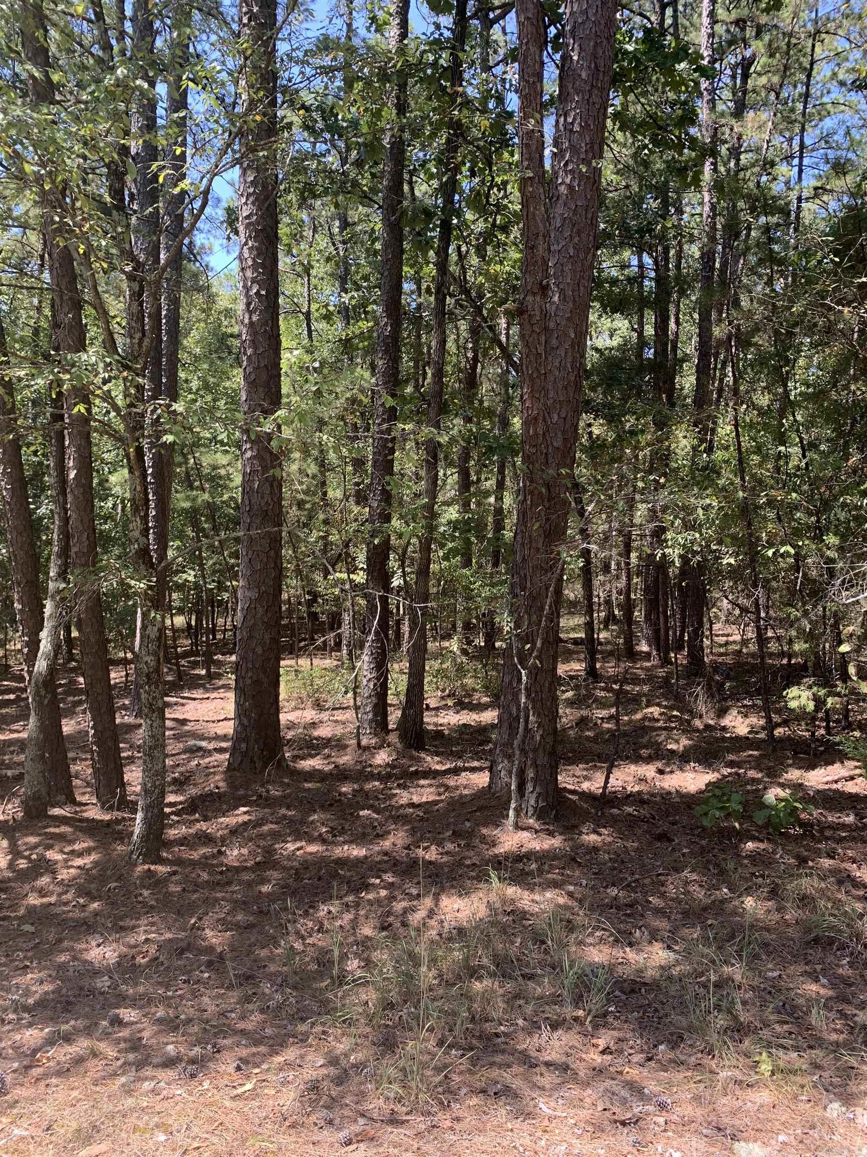 17 Fonsagrada Cir Property Photo 2