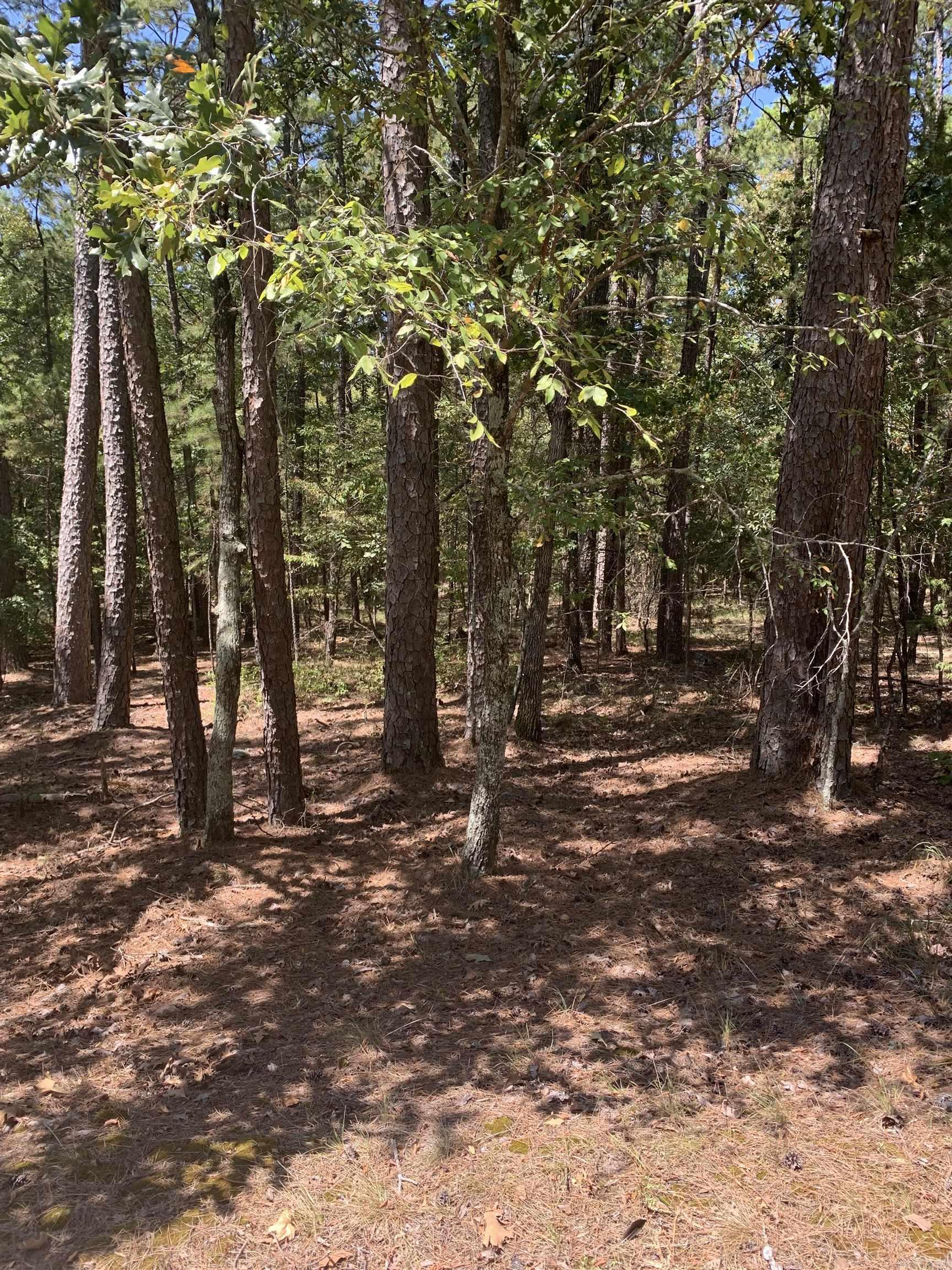 17 Fonsagrada Cir Property Photo 5