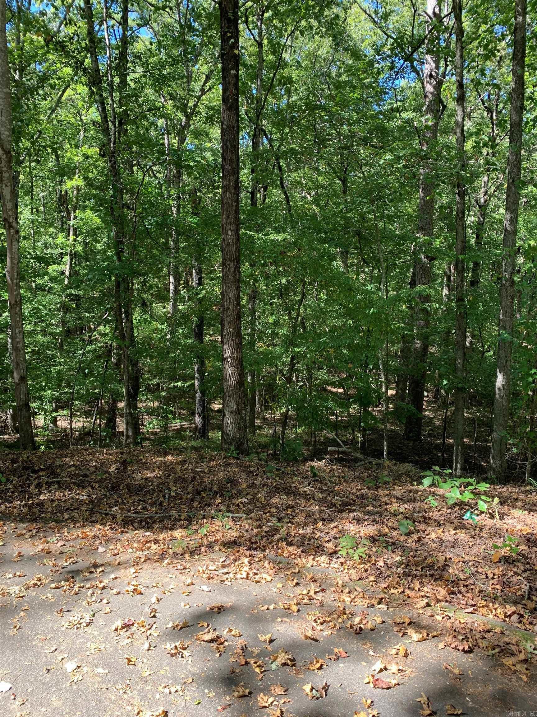 26 Raton Ln Property Photo 3