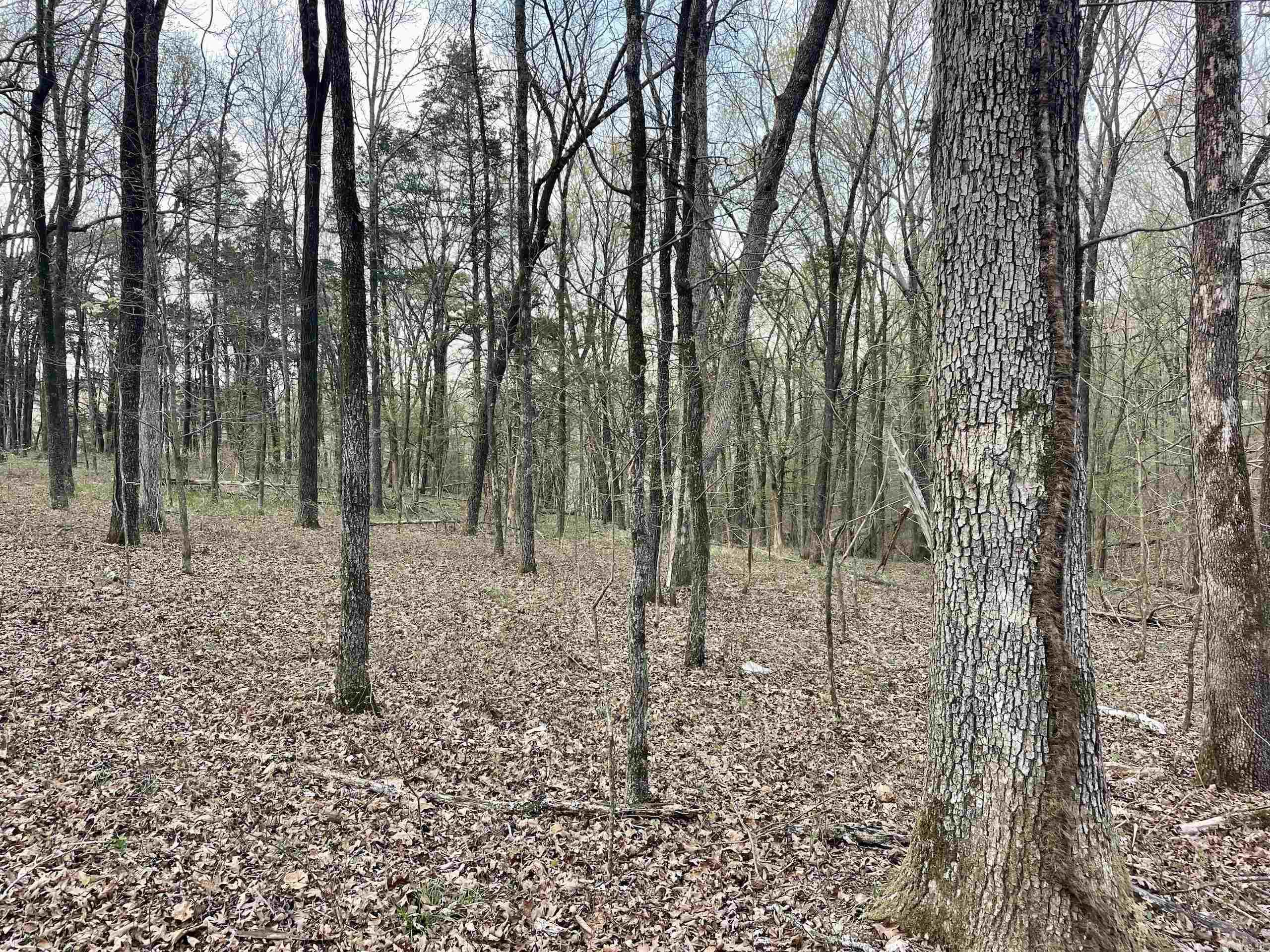 000 Trout Way Property Photo 15