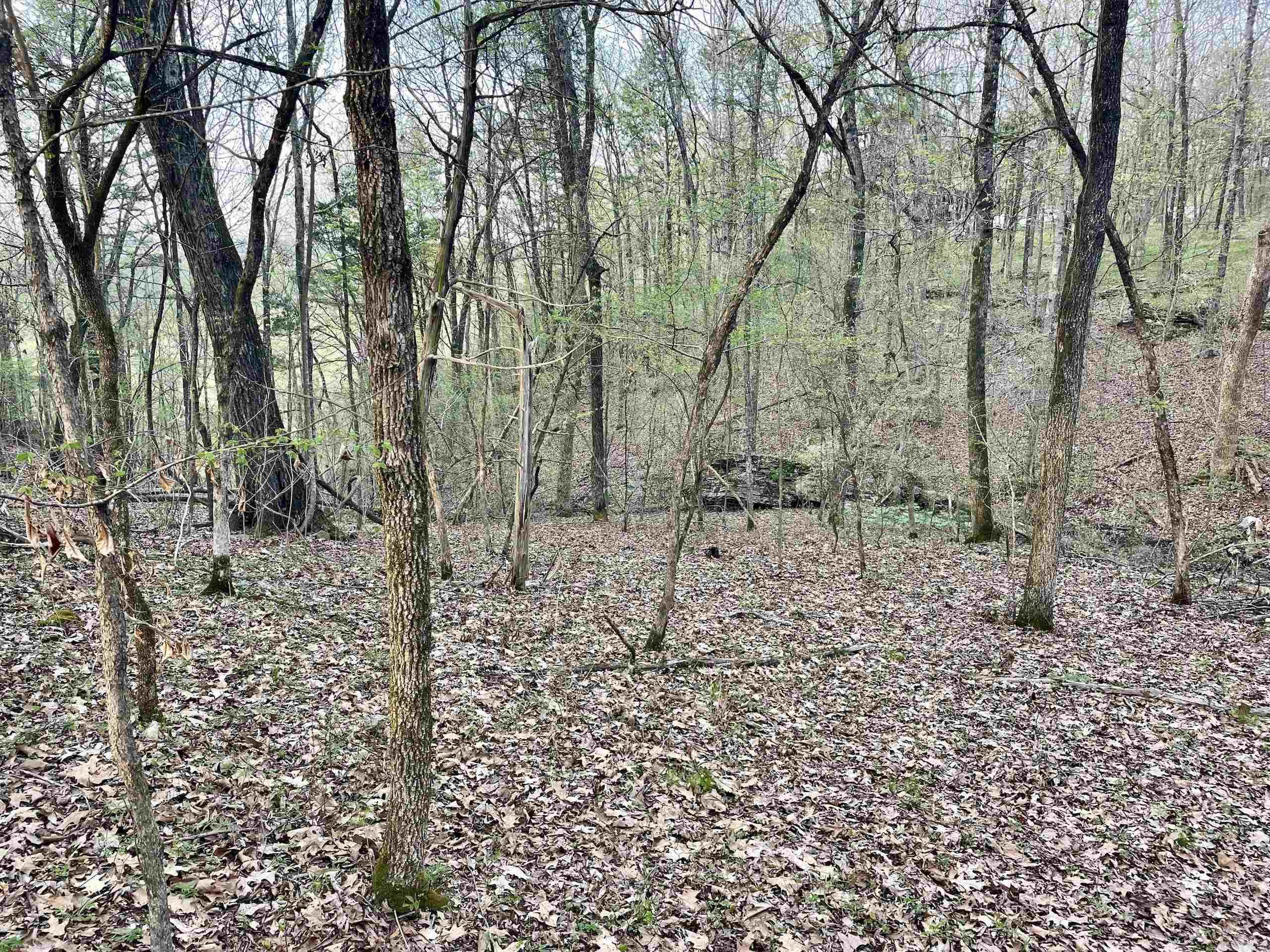 000 Trout Way Property Photo 17