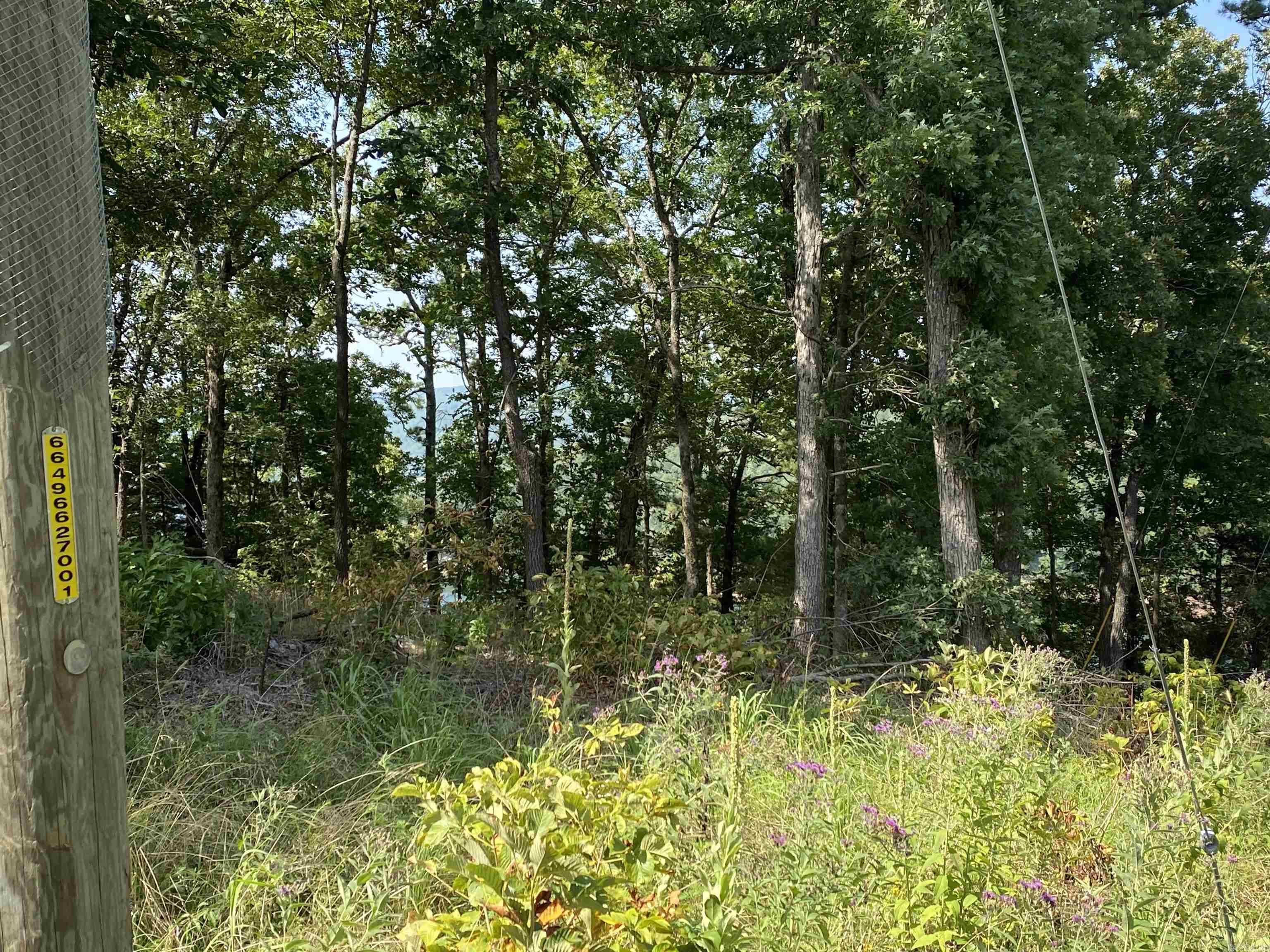Lot 6 & 7 Bluff Dr. Property Photo 2