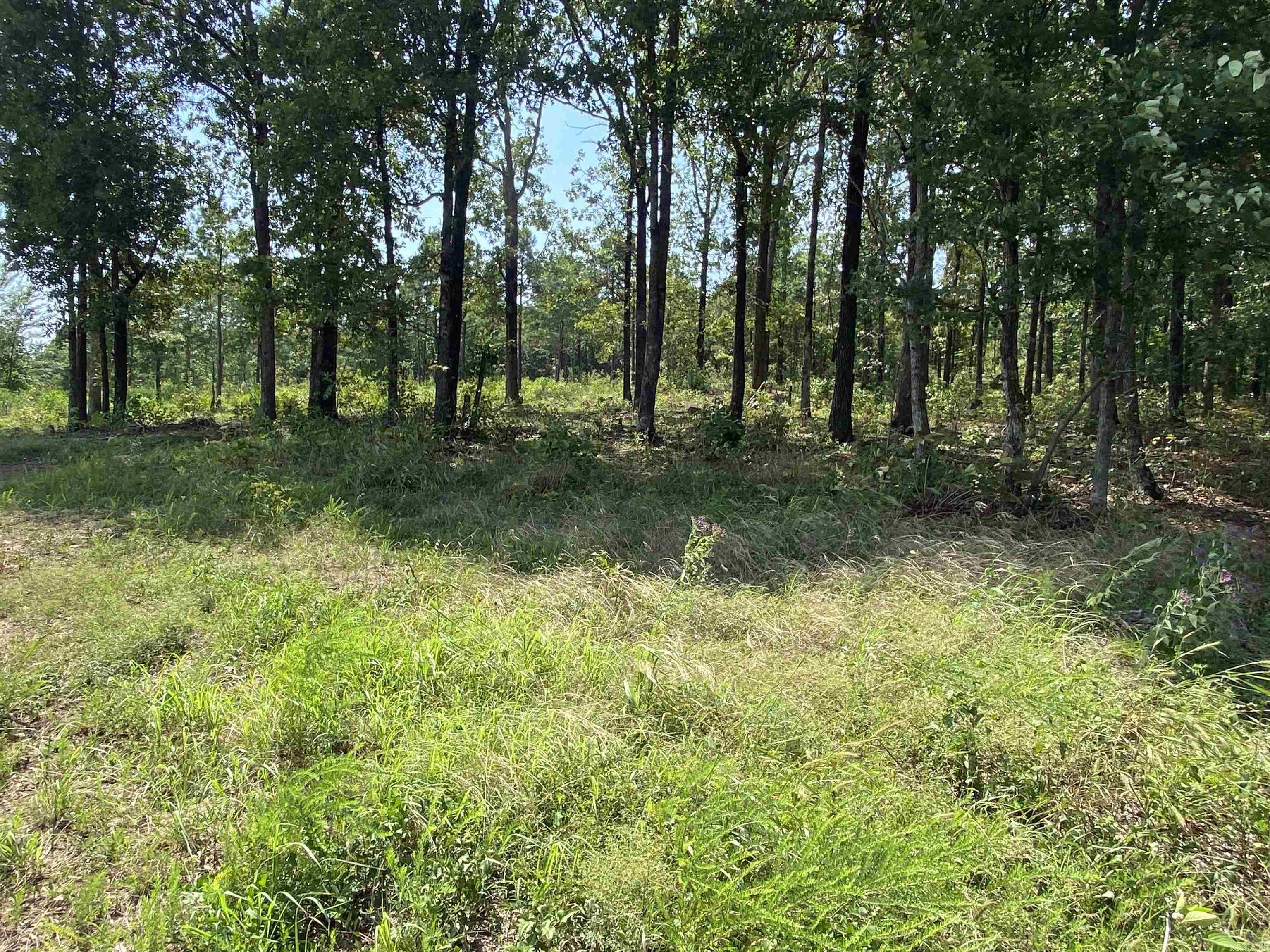 Lot 6 & 7 Bluff Dr. Property Photo 3