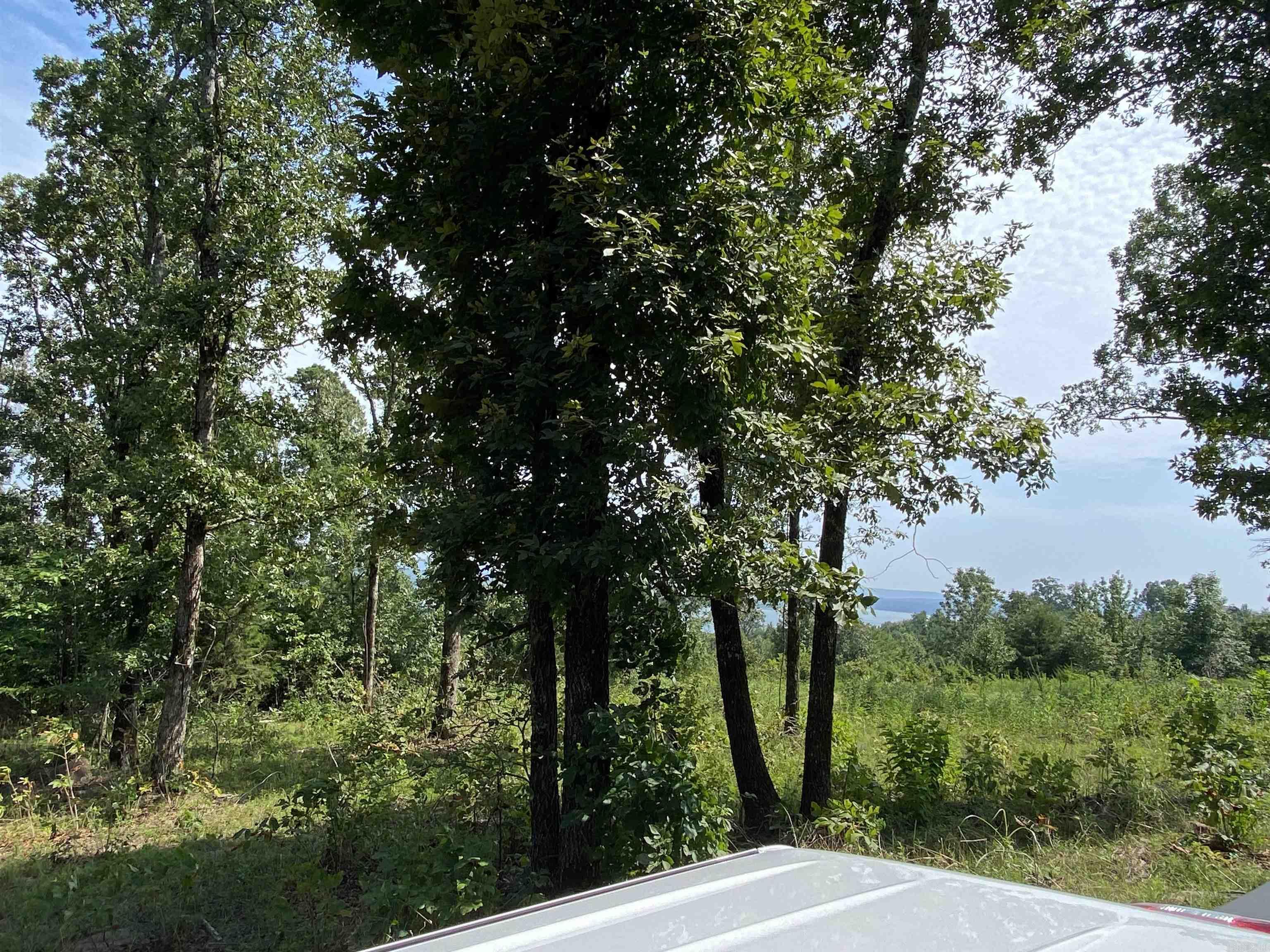 Lot 6 & 7 Bluff Dr. Property Photo 5
