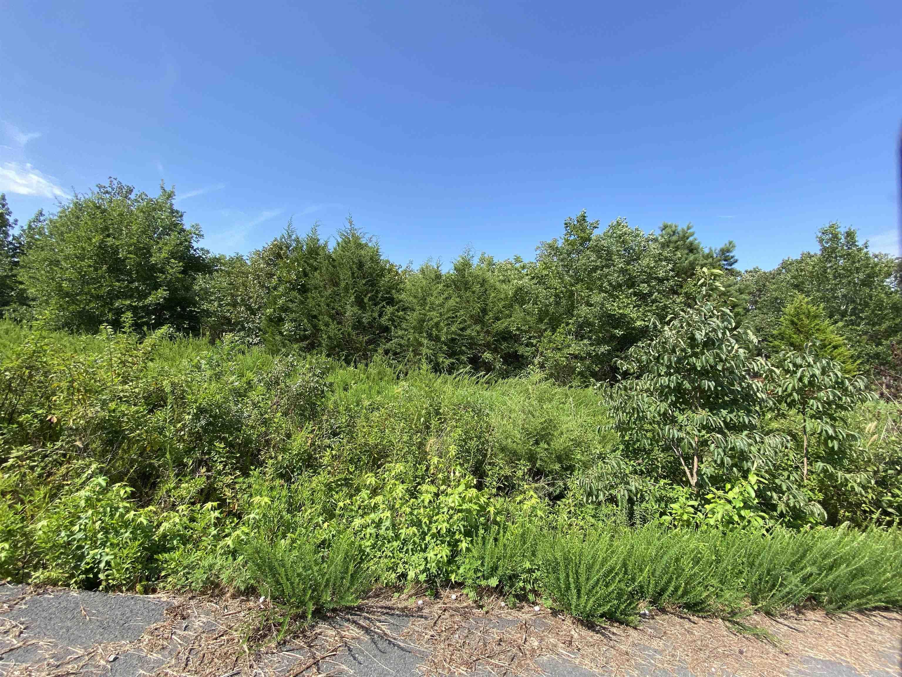 Lot 6 & 7 Bluff Dr. Property Photo 6