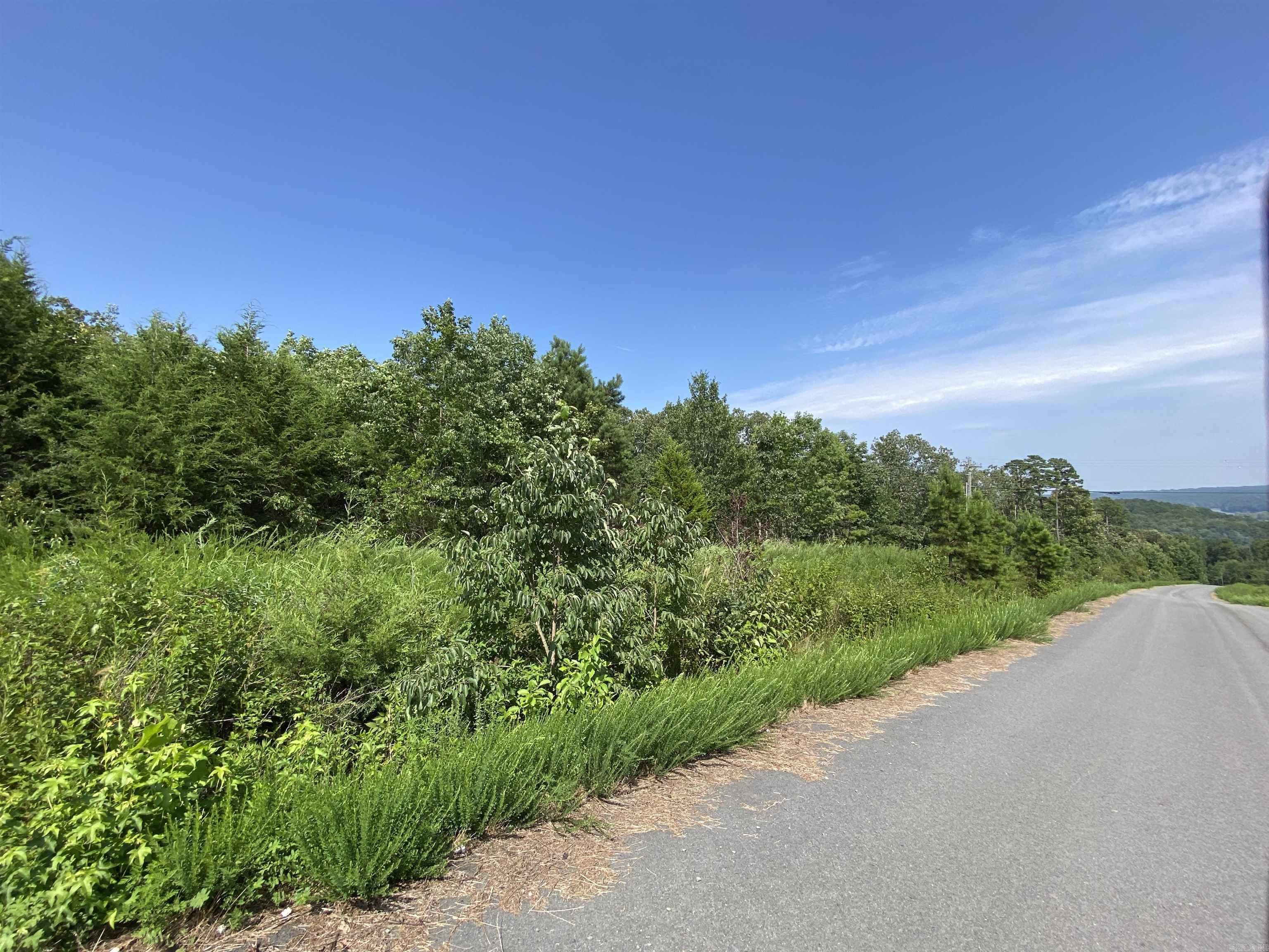 Lot 6 & 7 Bluff Dr. Property Photo 7