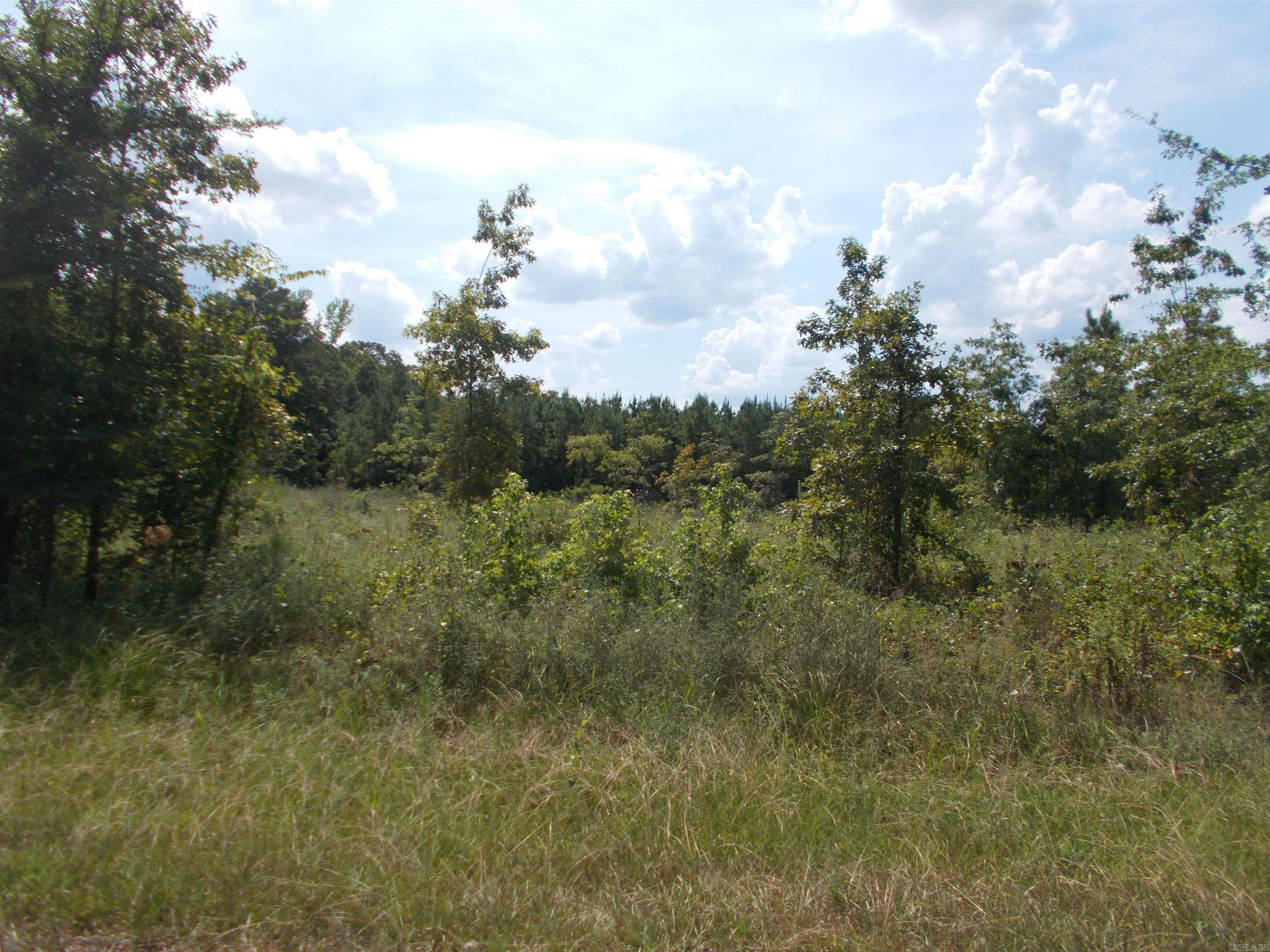 1705 Grant 53 Property Photo 1