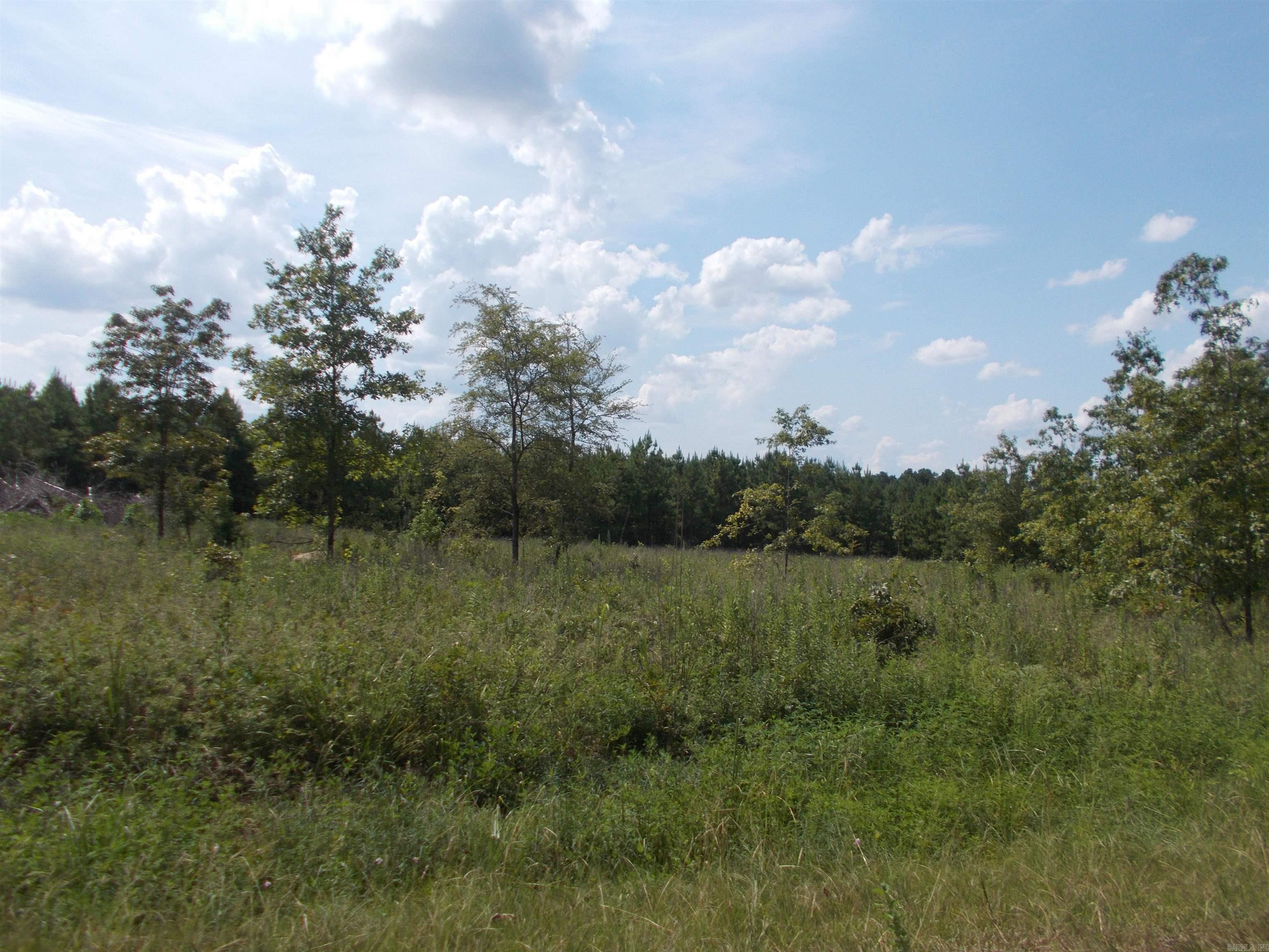 1705 Grant 53 Property Photo 6