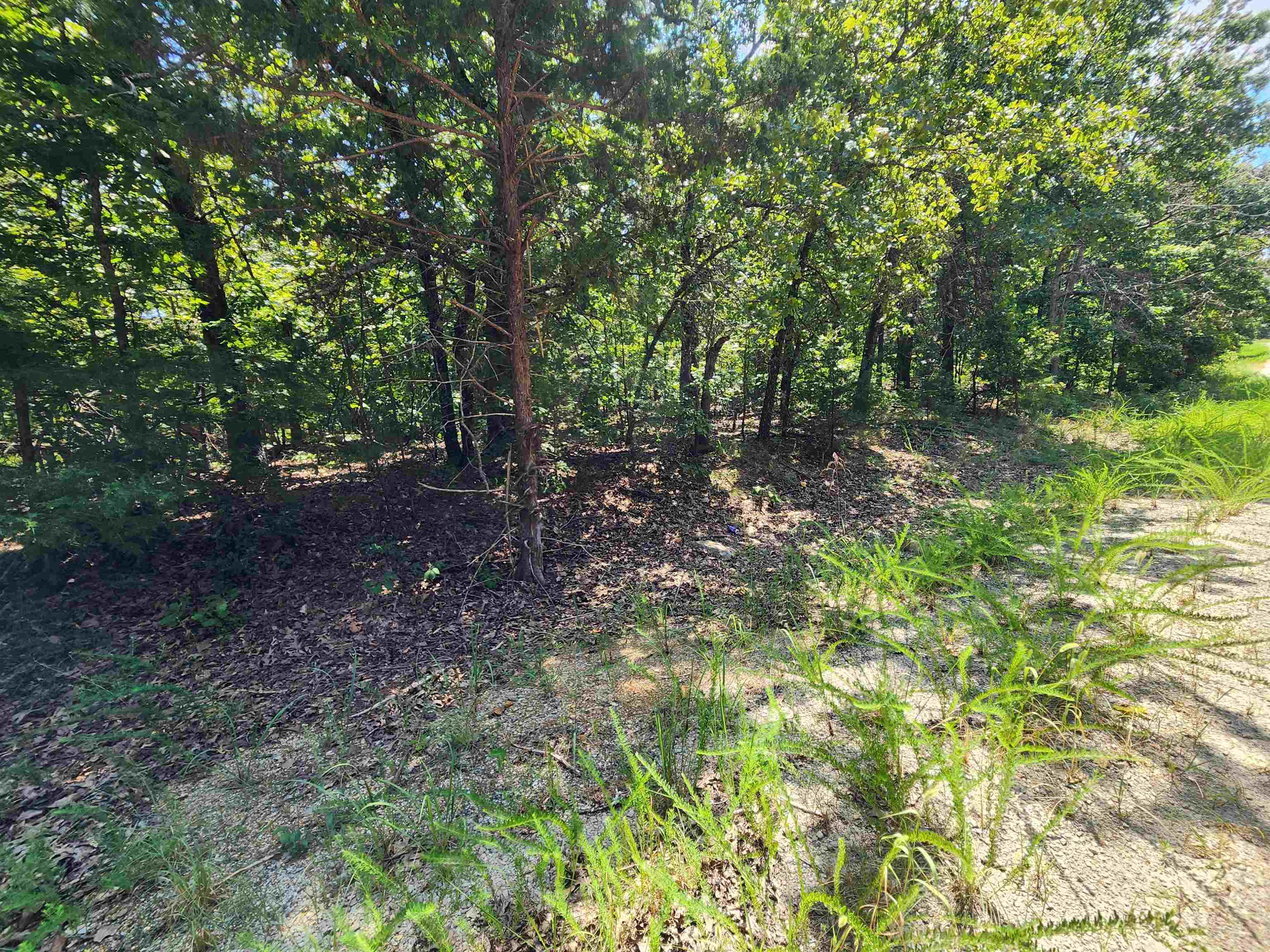 L-1,2,3, B-19 Nicatouse Drive Property Photo 4