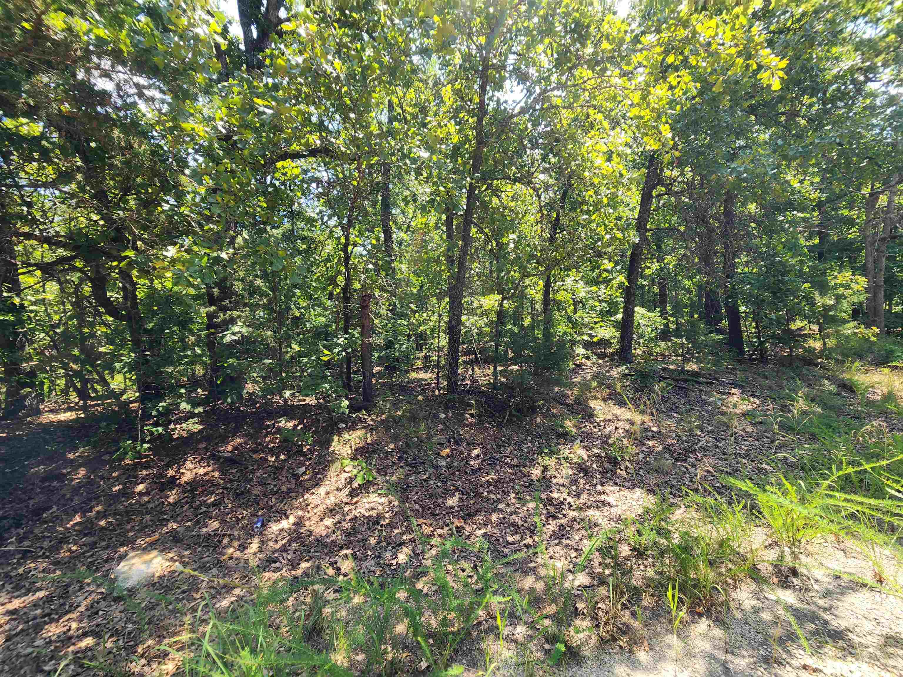 L-1,2,3, B-19 Nicatouse Drive Property Photo 6