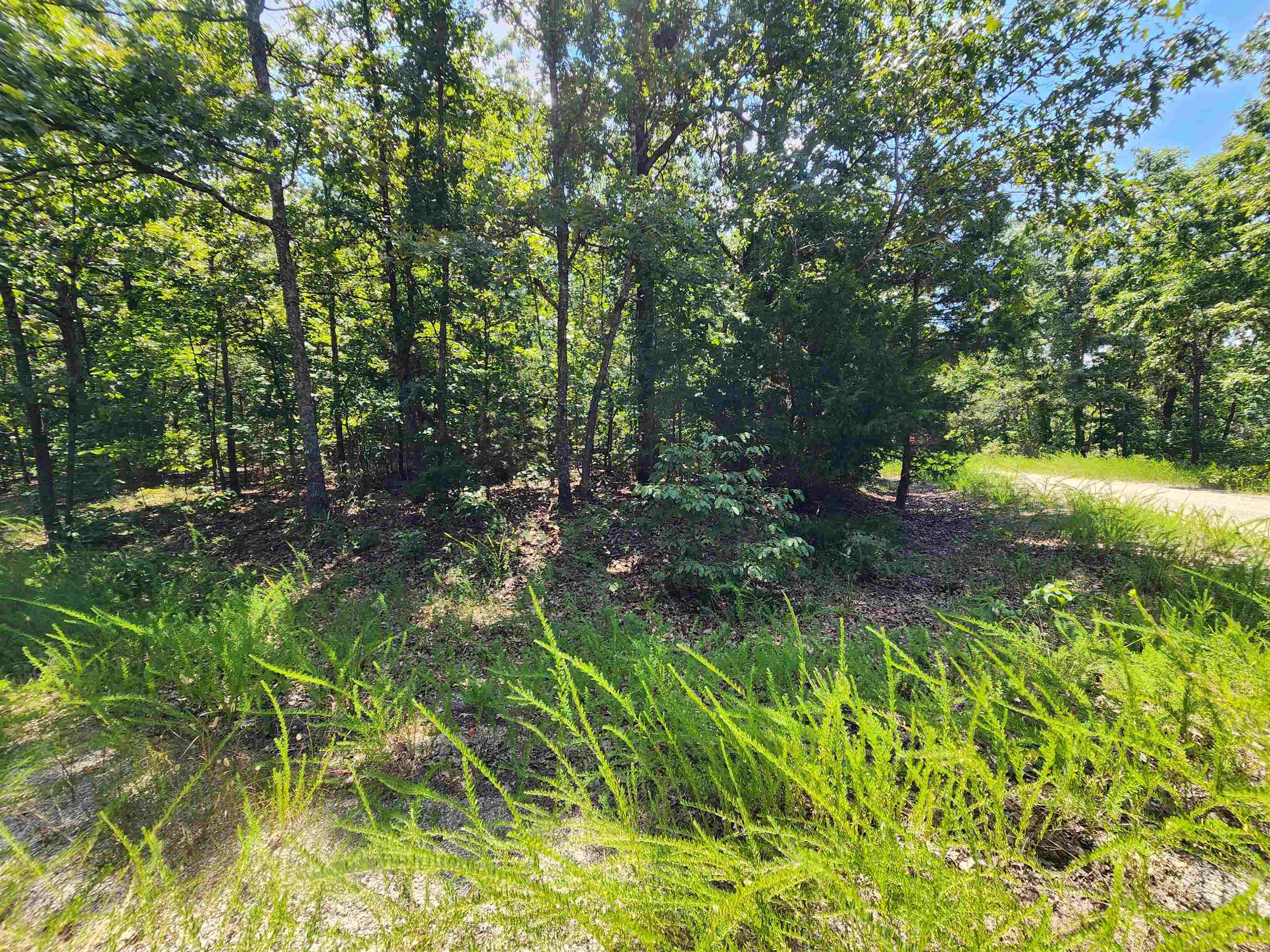 L-1,2,3, B-19 Nicatouse Drive Property Photo 7