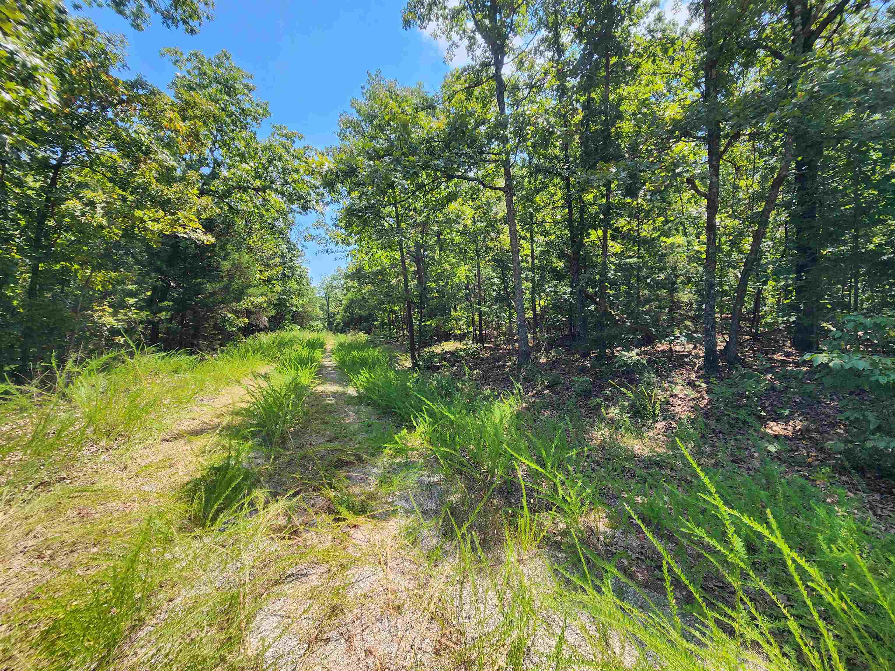 L-1,2,3, B-19 Nicatouse Drive Property Photo 8