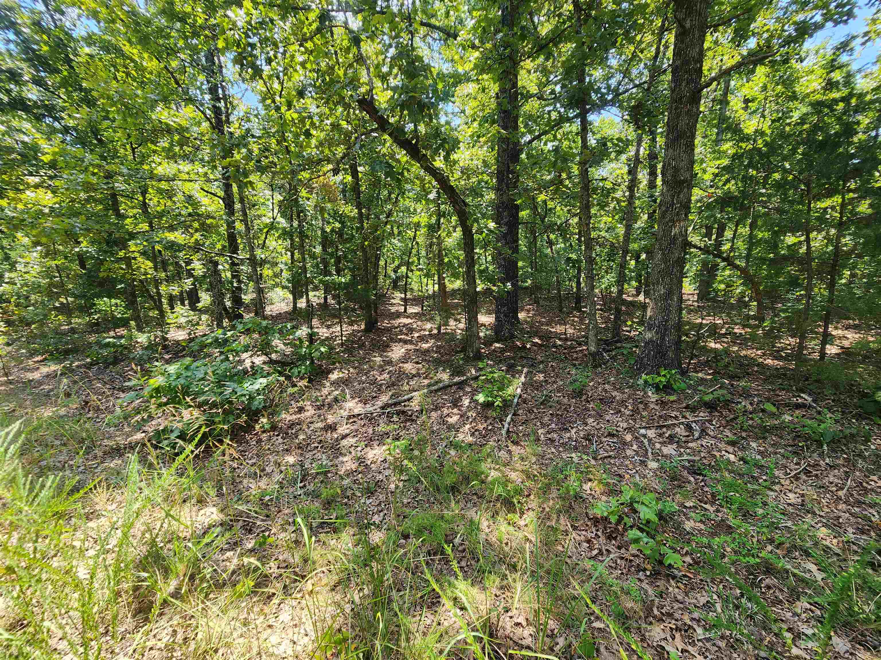 L-1,2,3, B-19 Nicatouse Drive Property Photo 10