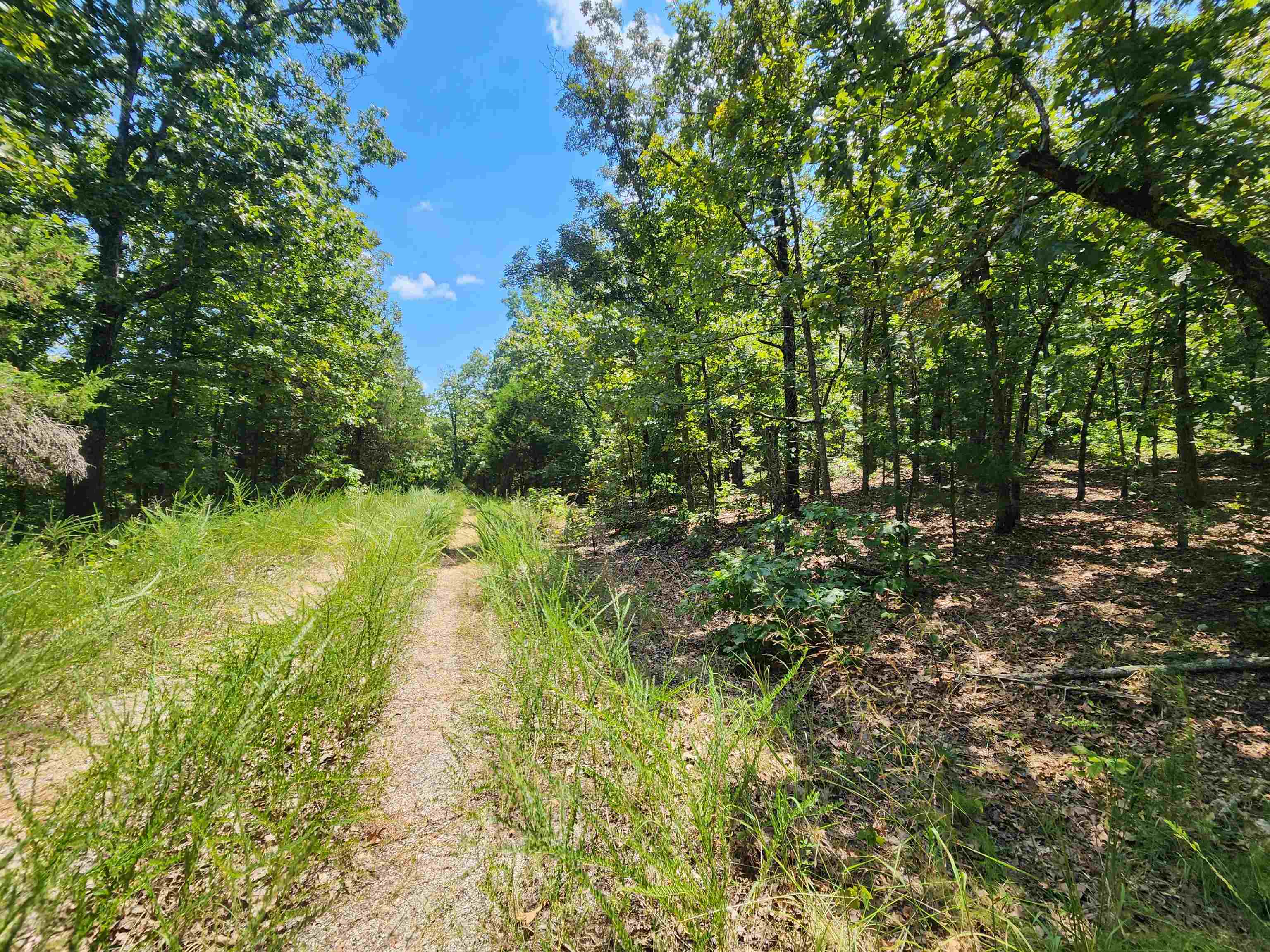 L-1,2,3, B-19 Nicatouse Drive Property Photo 11