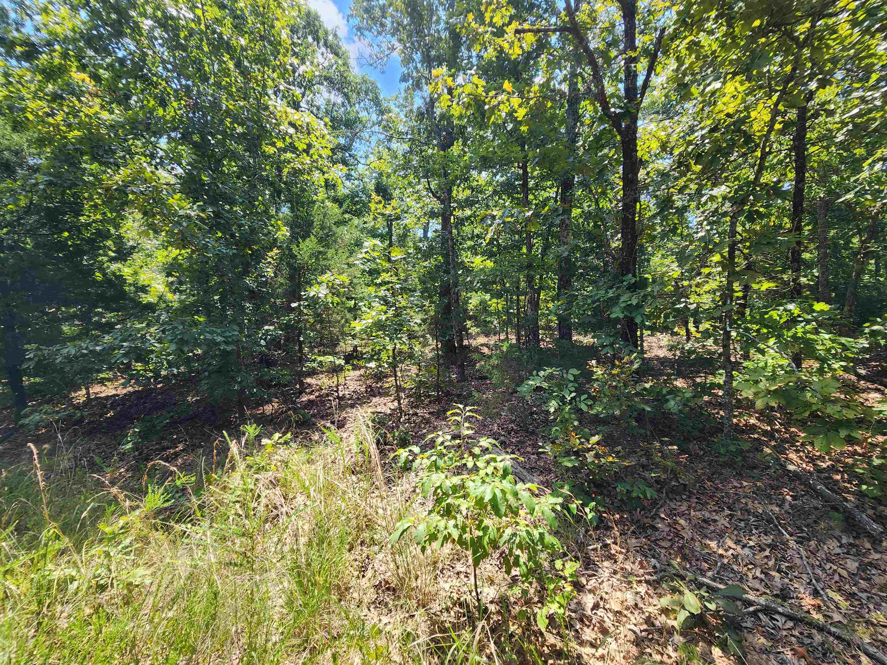 L-1,2,3, B-19 Nicatouse Drive Property Photo 14
