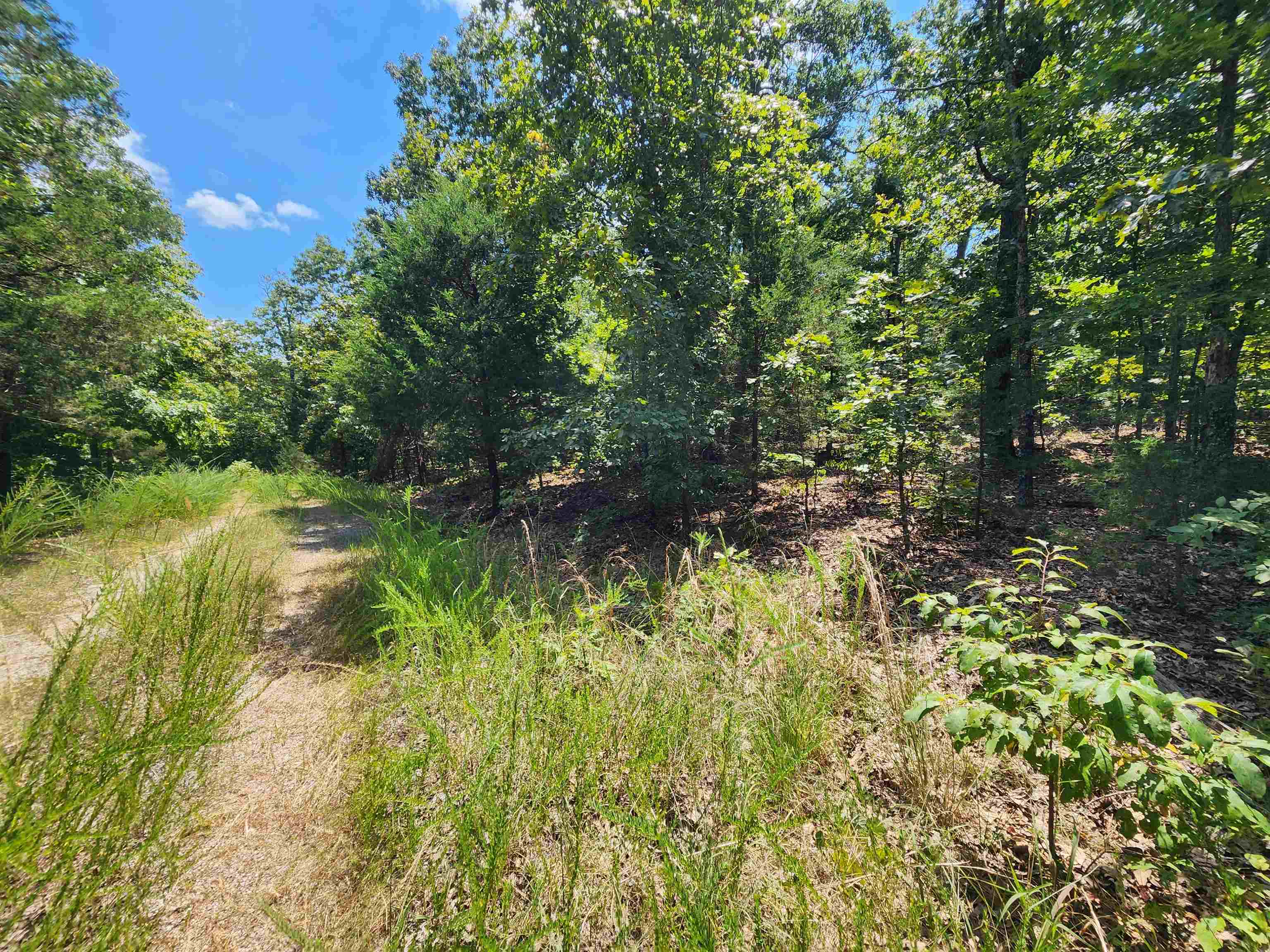 L-1,2,3, B-19 Nicatouse Drive Property Photo 15