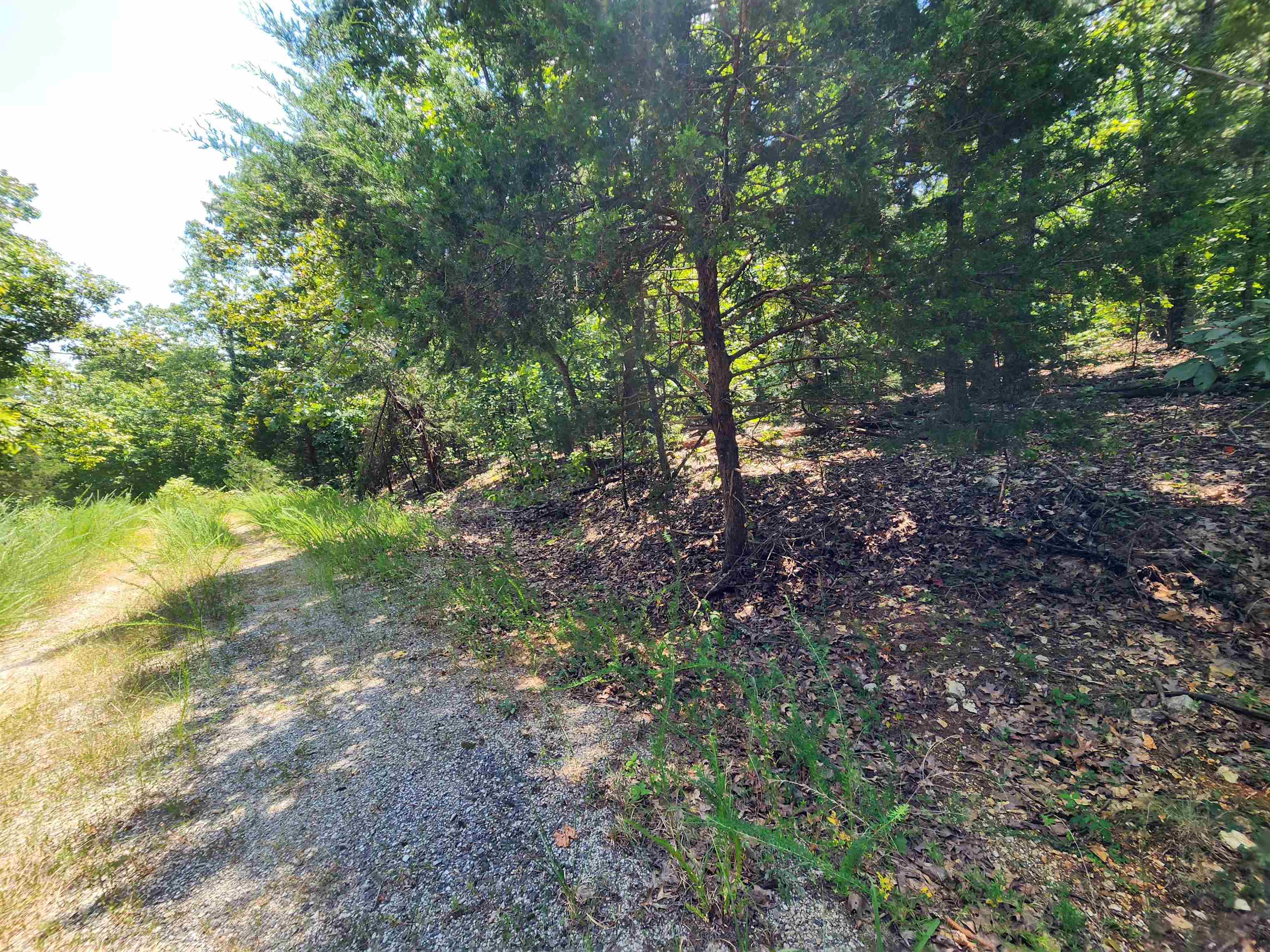 L-1,2,3, B-19 Nicatouse Drive Property Photo 19
