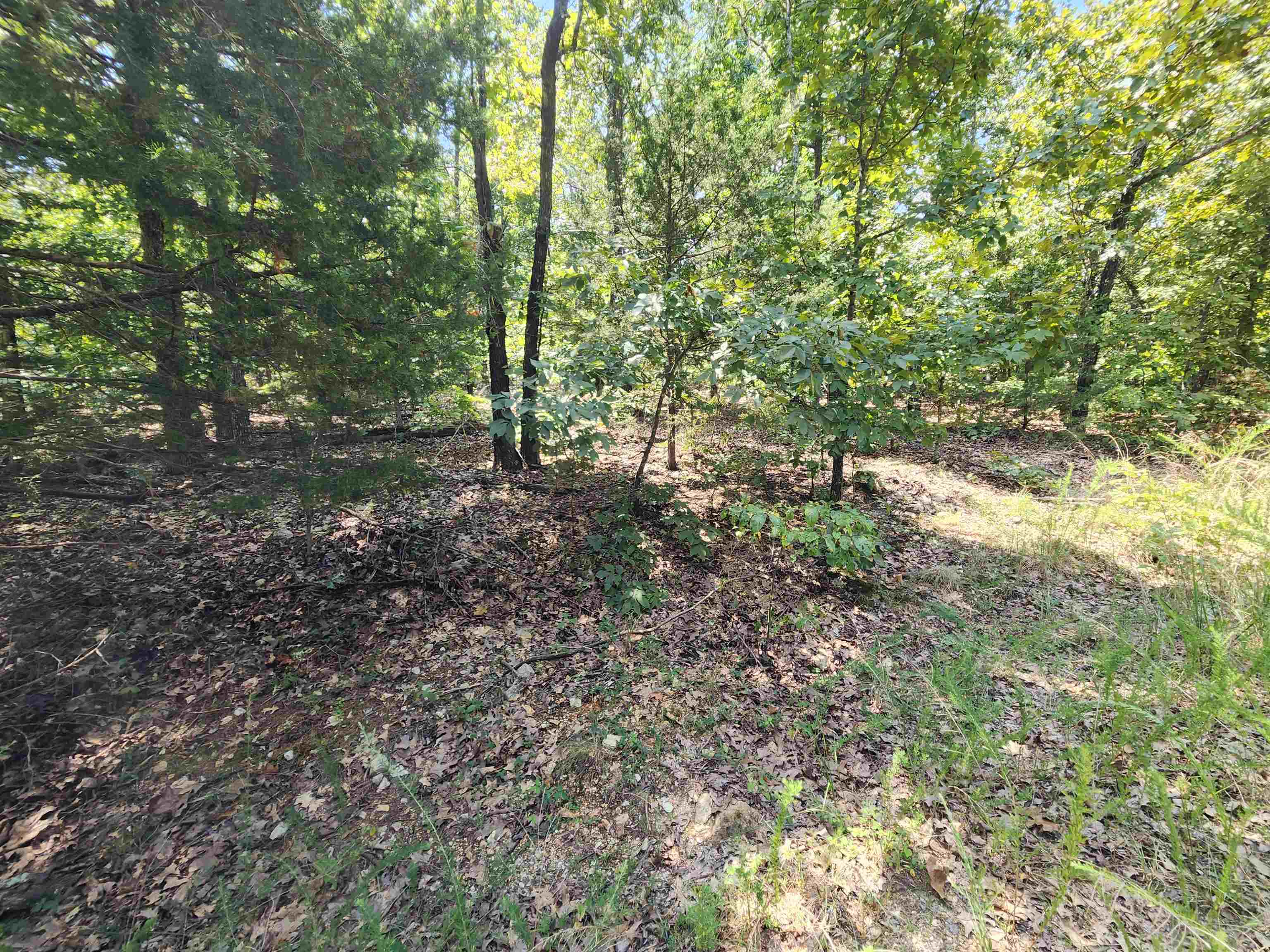 L-1,2,3, B-19 Nicatouse Drive Property Photo 25