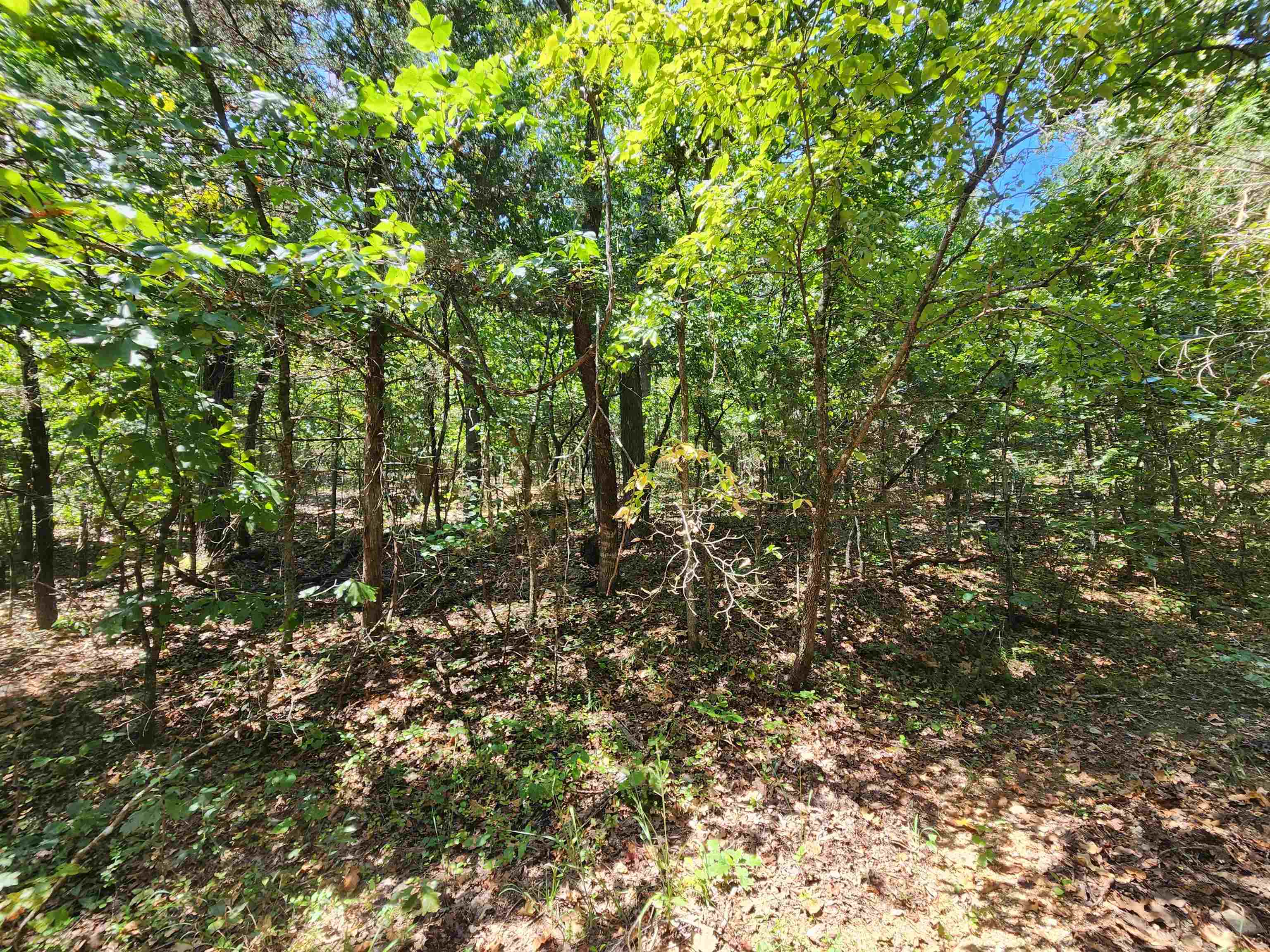 L-50, B-3 Lightning Circle Property Photo 1