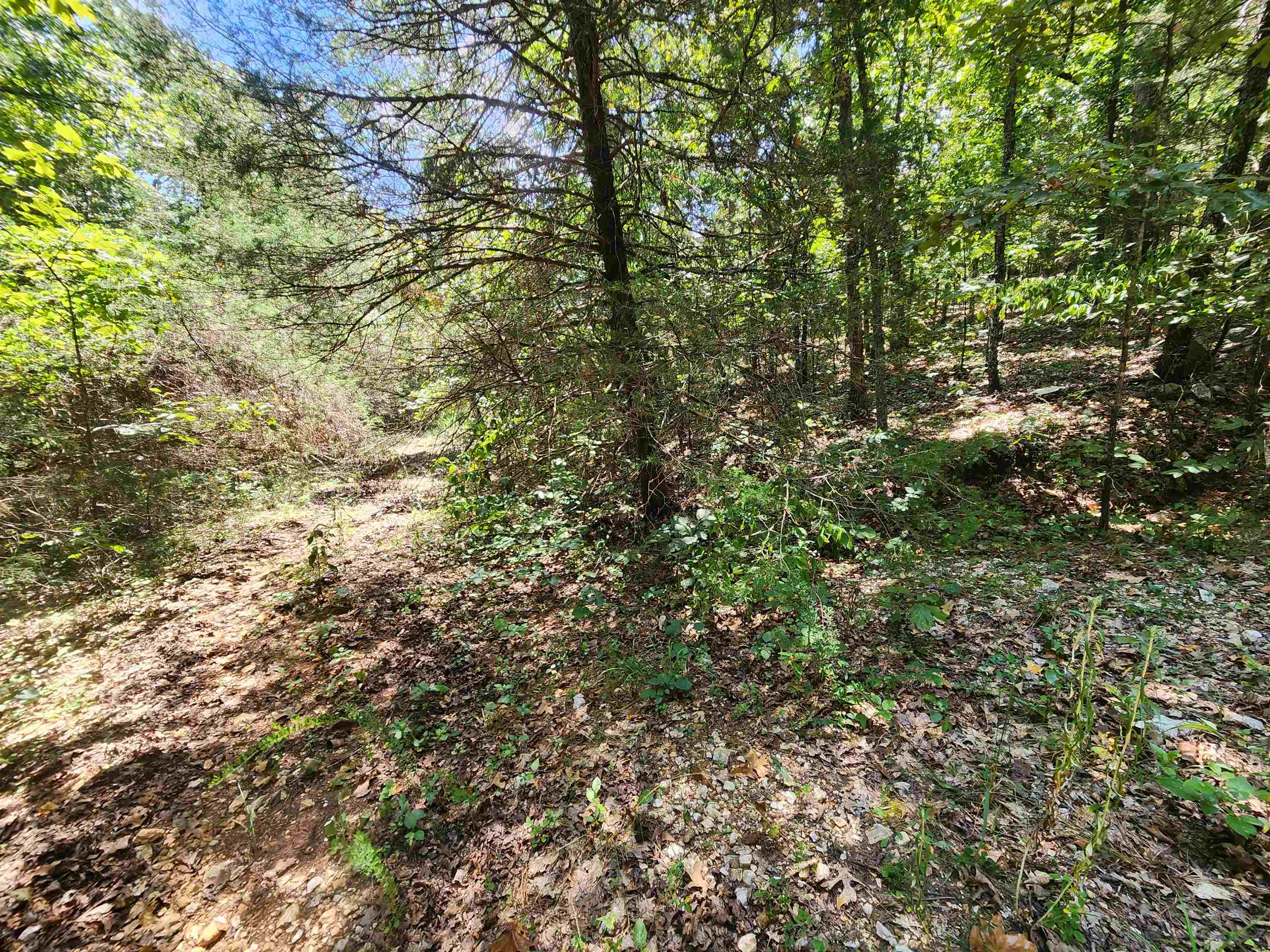 L-50, B-3 Lightning Circle Property Photo 5
