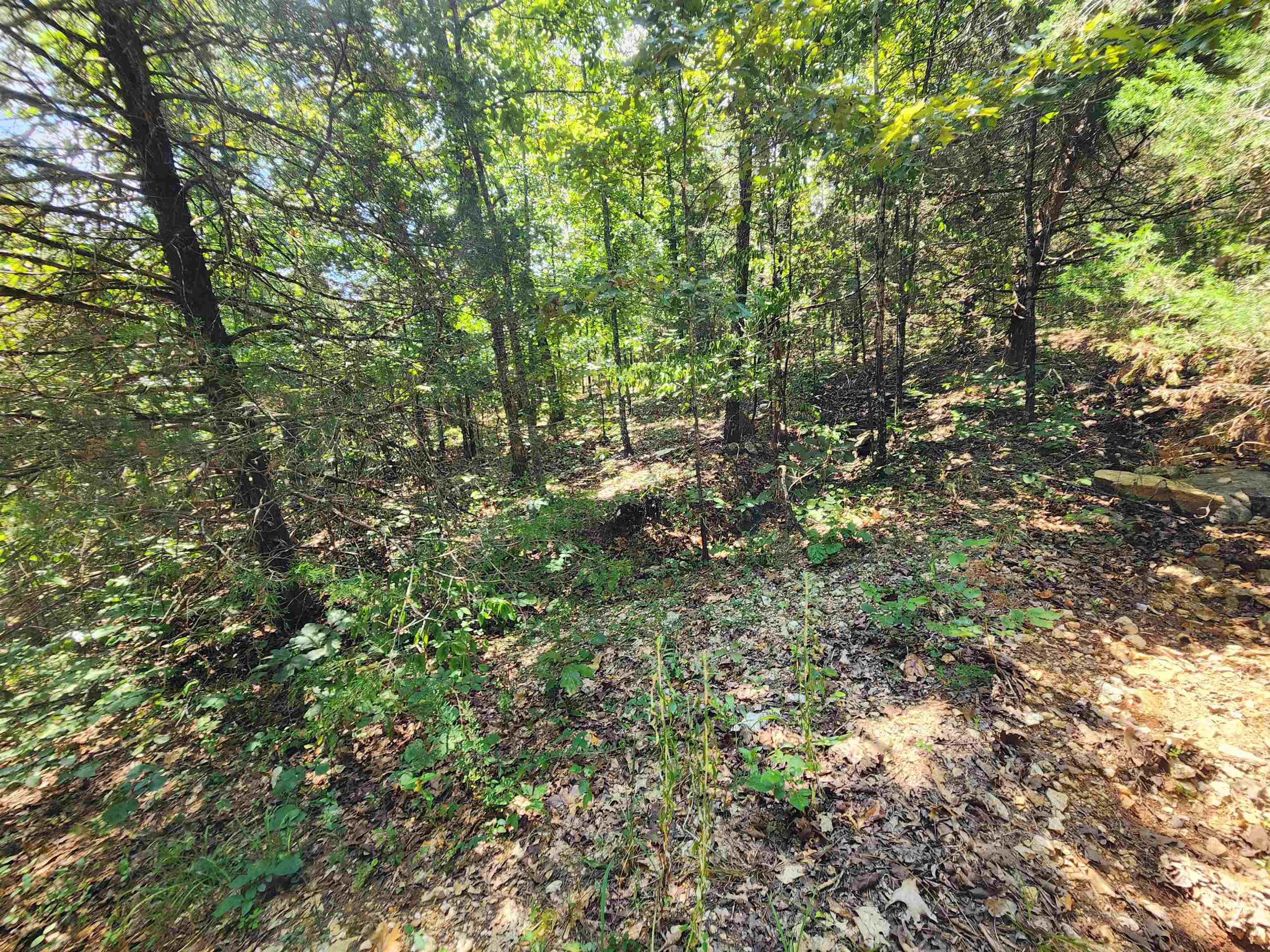 L-50, B-3 Lightning Circle Property Photo 6