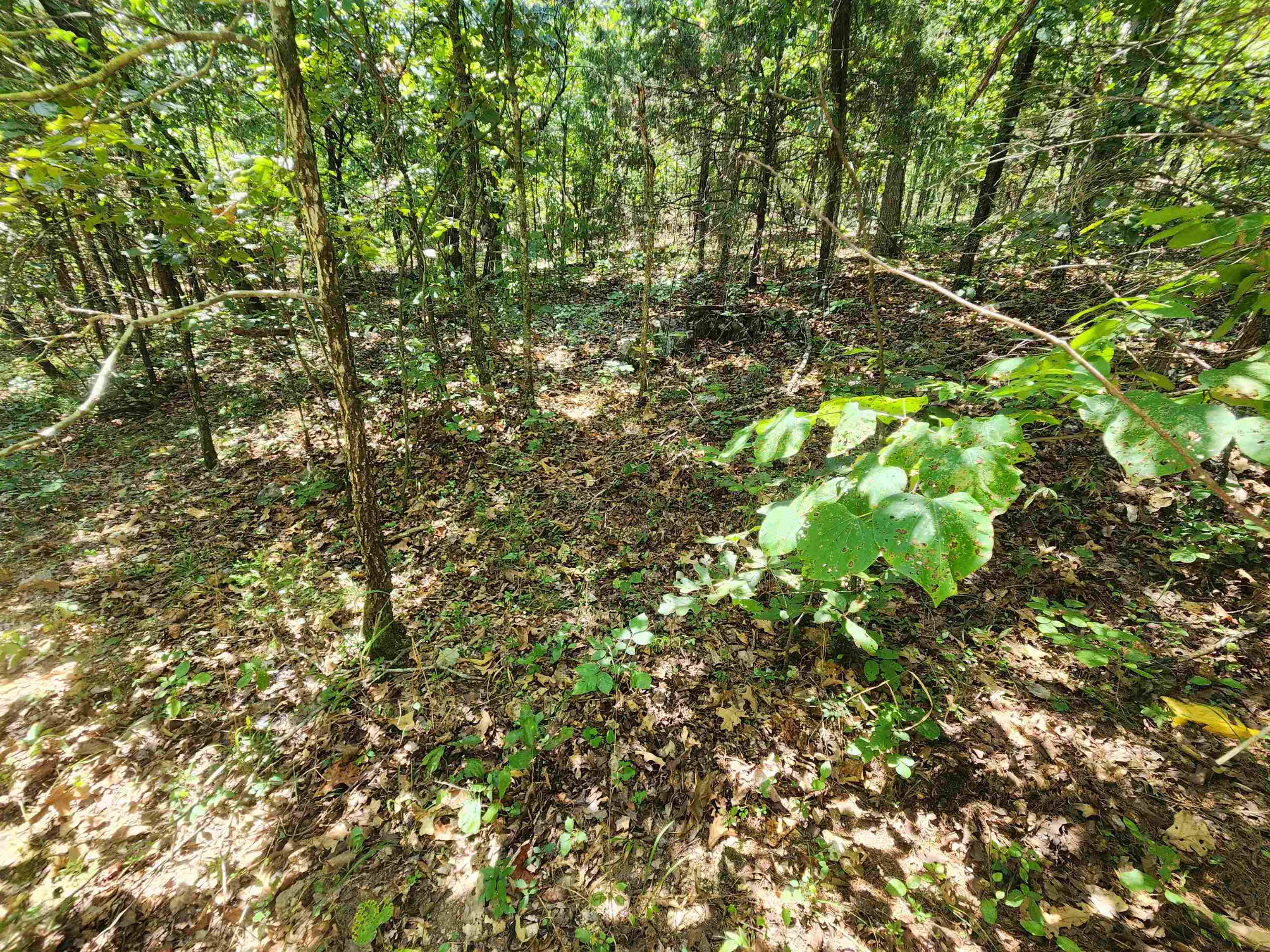 L-50, B-3 Lightning Circle Property Photo 7