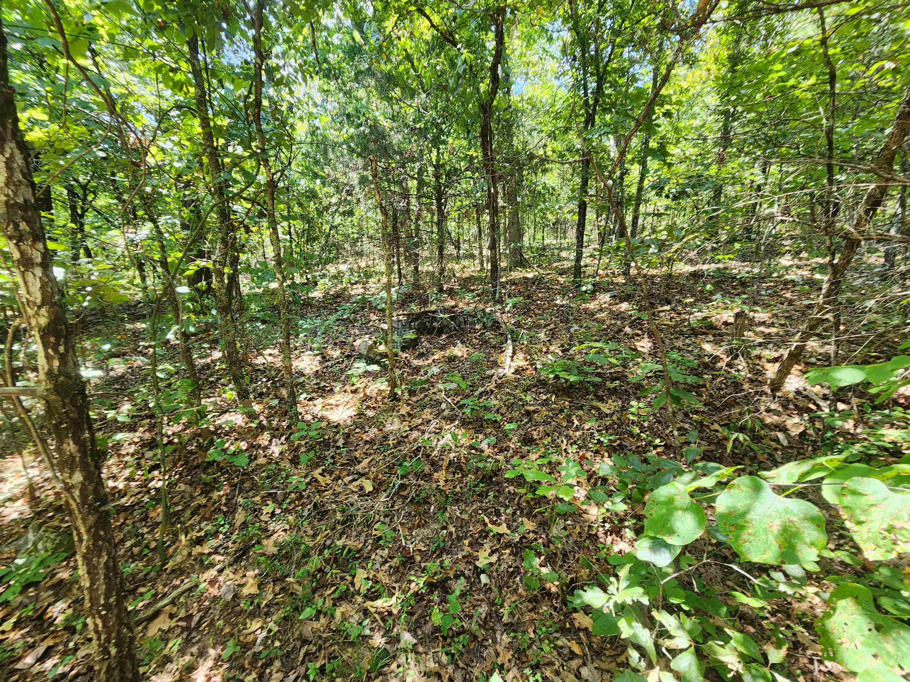 L-50, B-3 Lightning Circle Property Photo 8