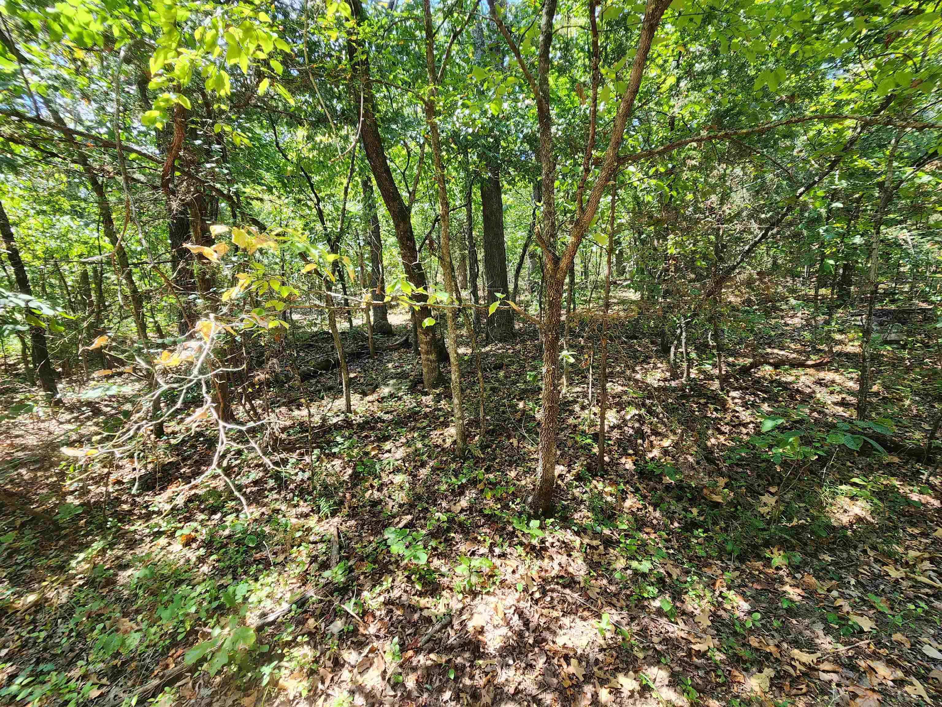 L-50, B-3 Lightning Circle Property Photo 9