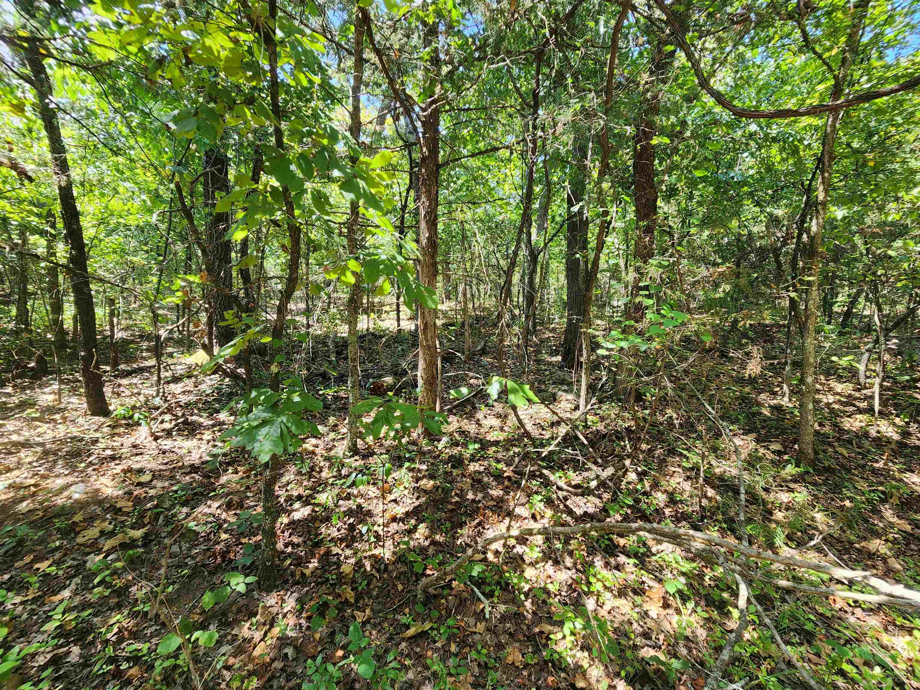 L-50, B-3 Lightning Circle Property Photo 10