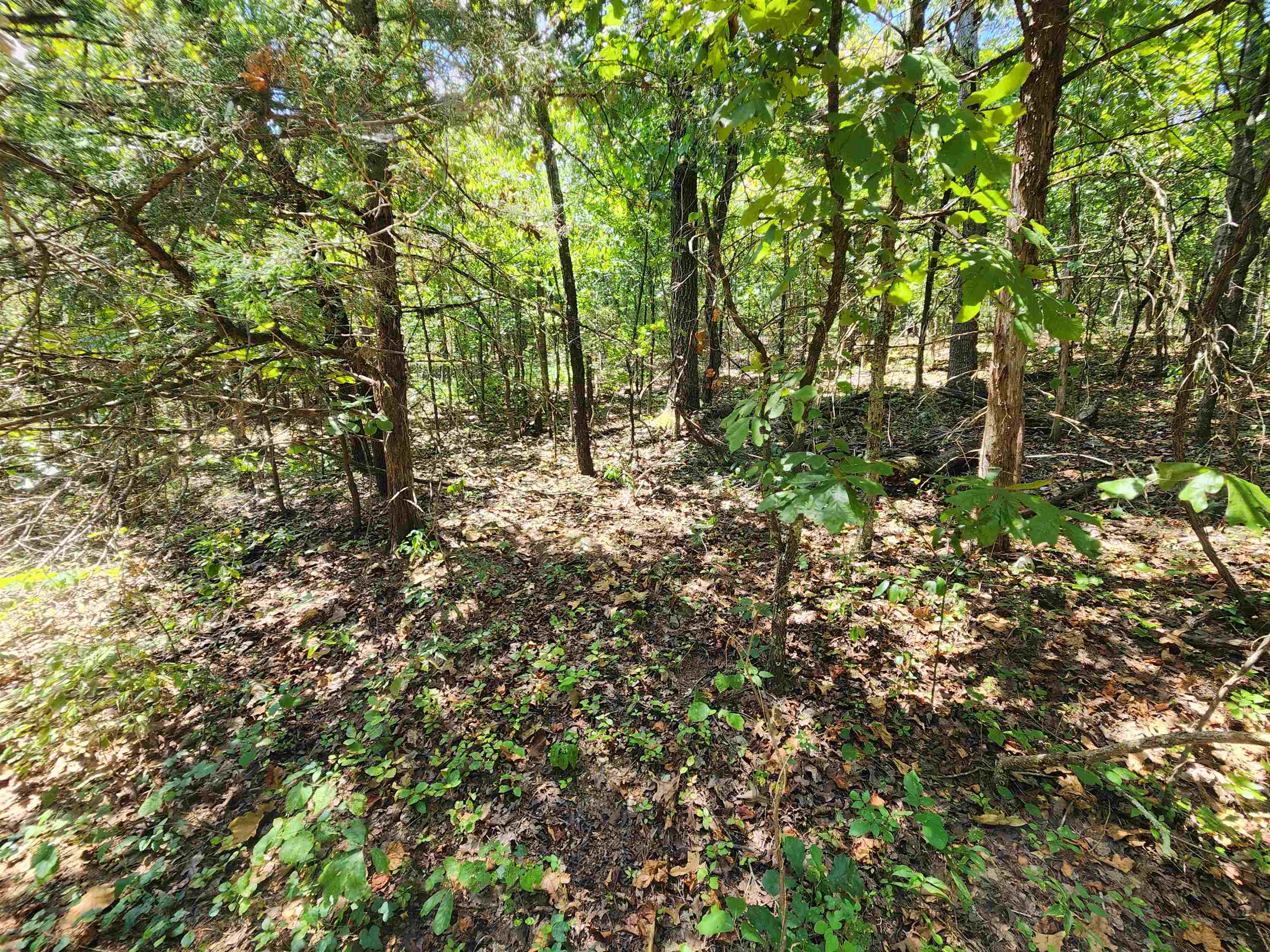L-50, B-3 Lightning Circle Property Photo 11