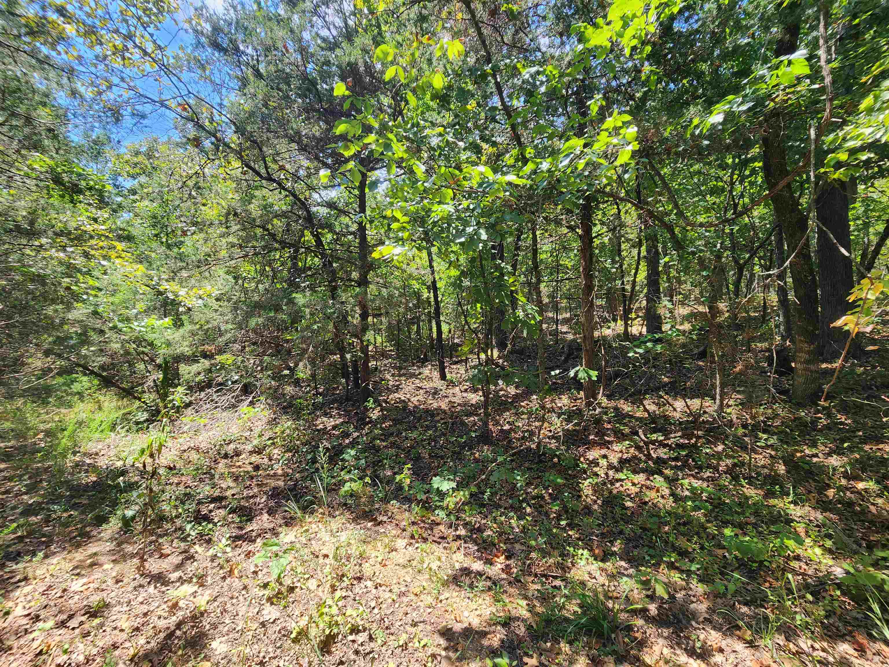 L-50, B-3 Lightning Circle Property Photo 12