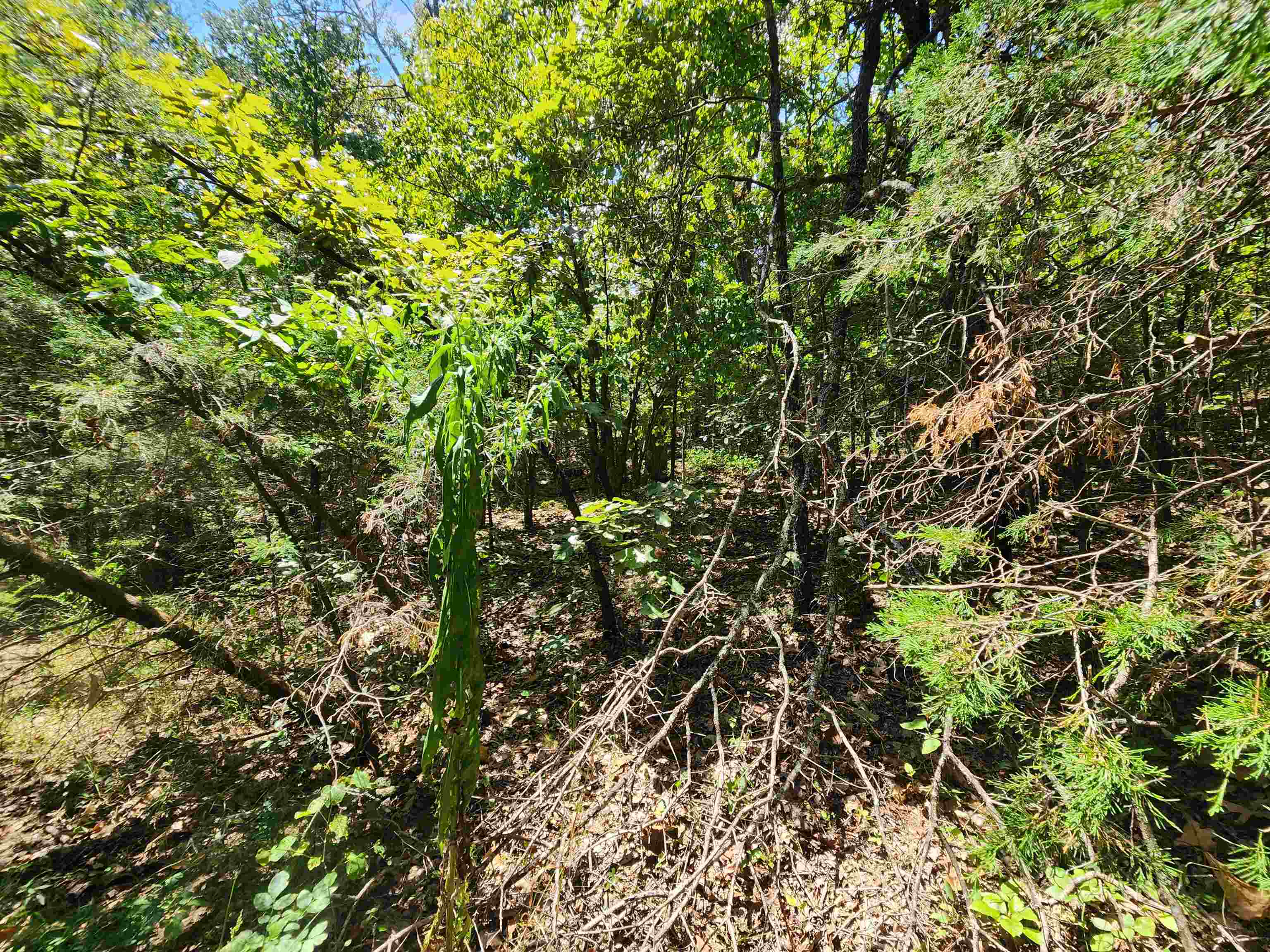 L-50, B-3 Lightning Circle Property Photo 15