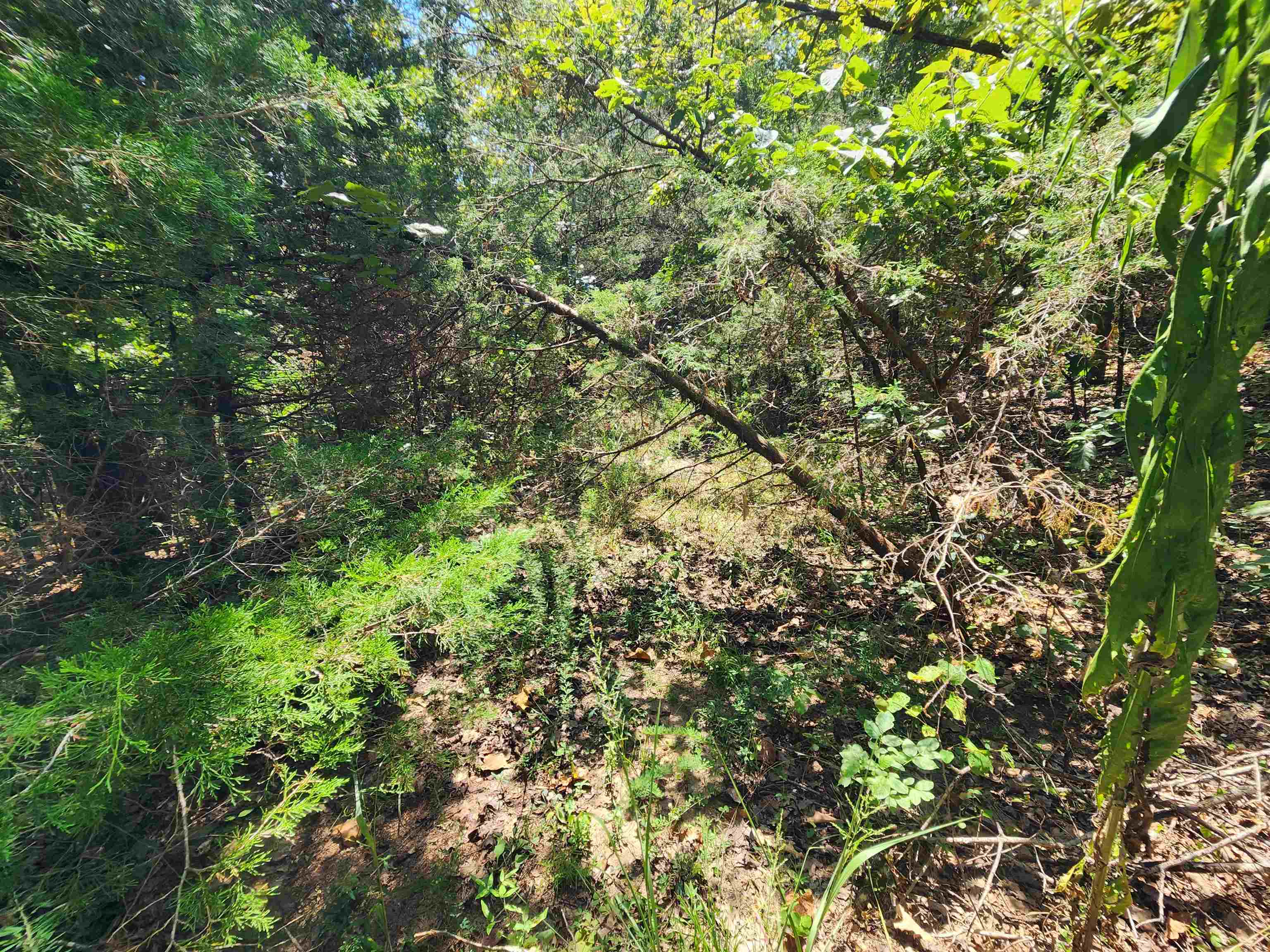 L-50, B-3 Lightning Circle Property Photo 16