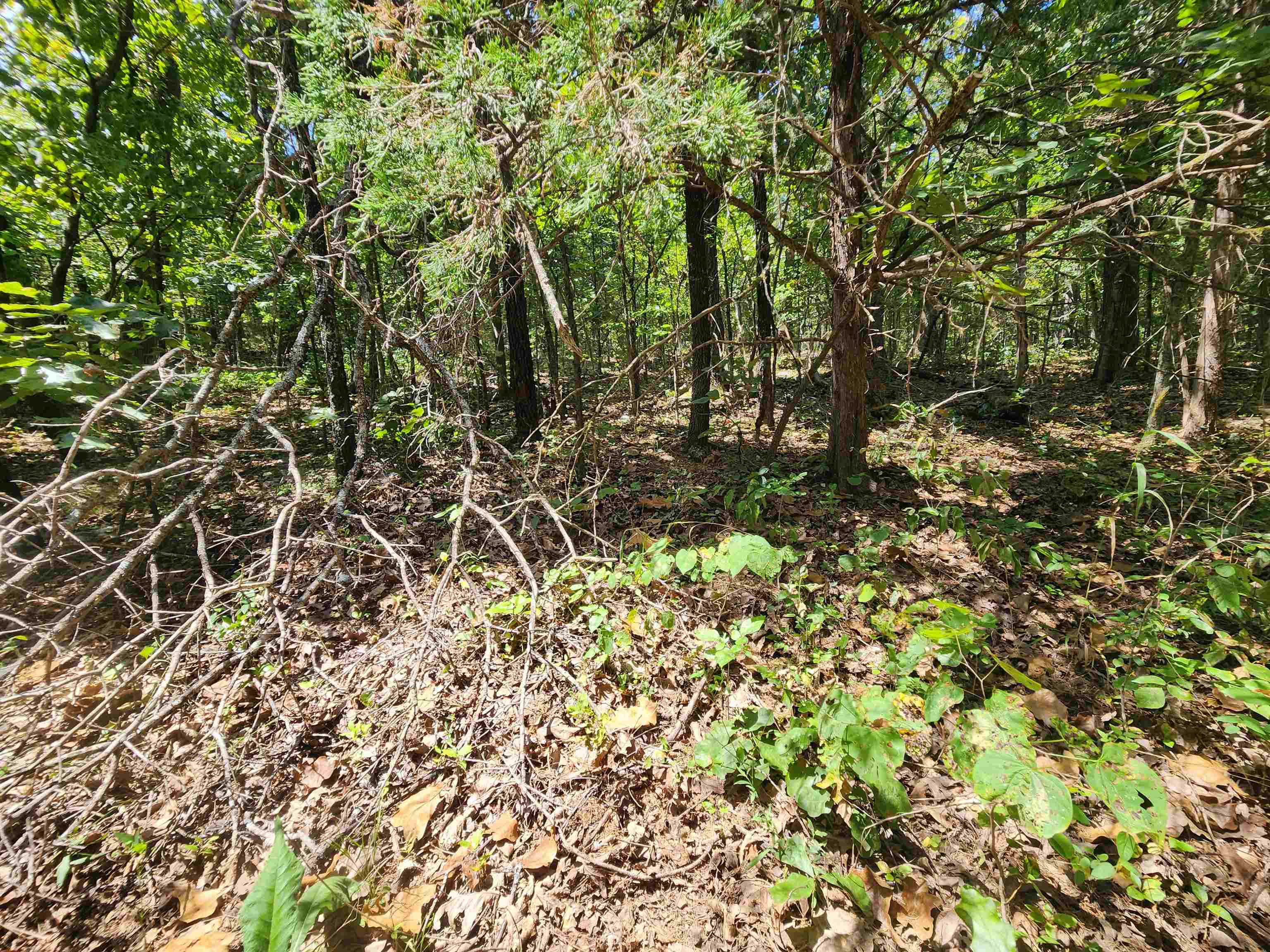 L-50, B-3 Lightning Circle Property Photo 17
