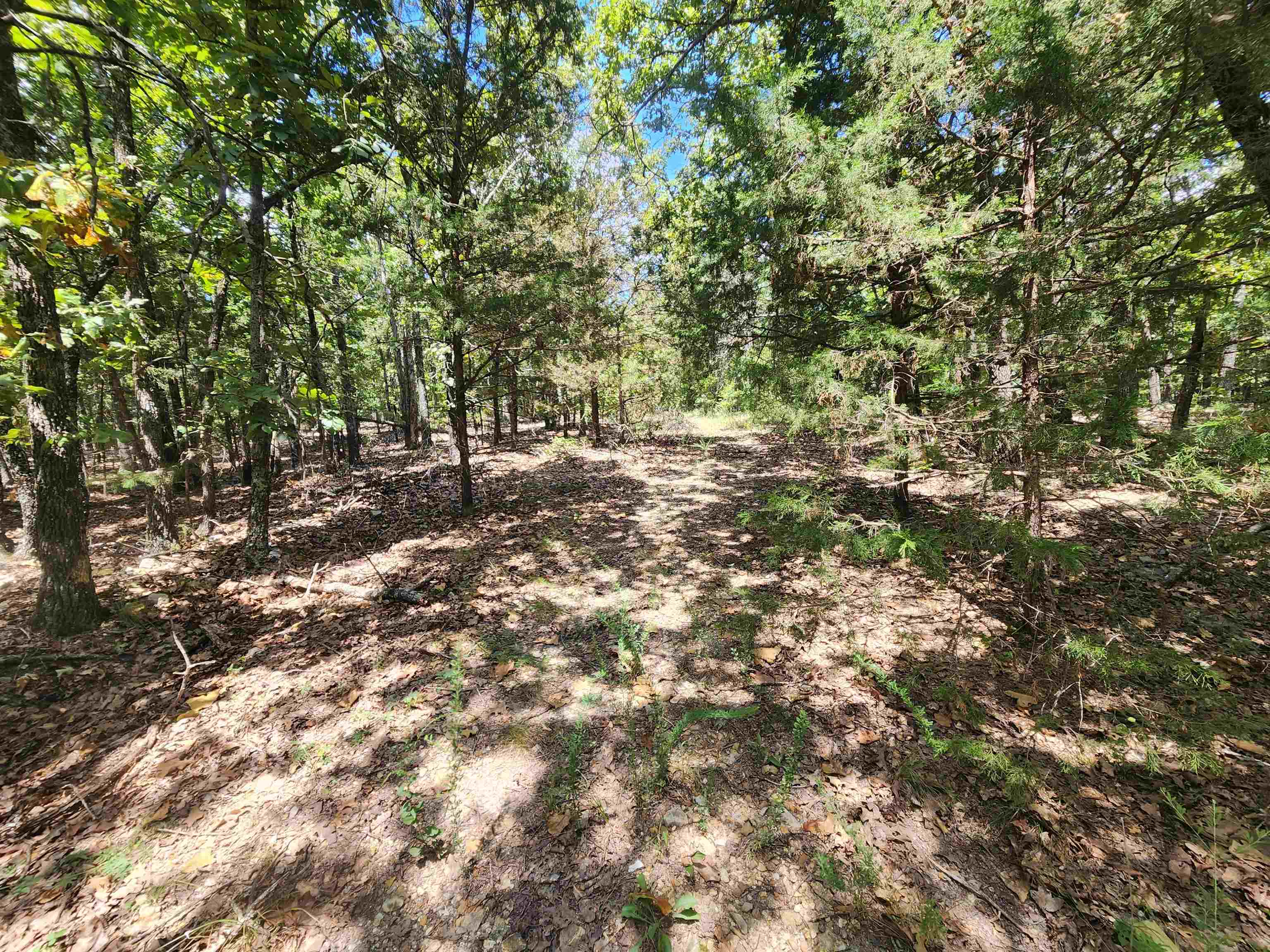 L101-103, B-3 Lightning Circle Property Photo 3