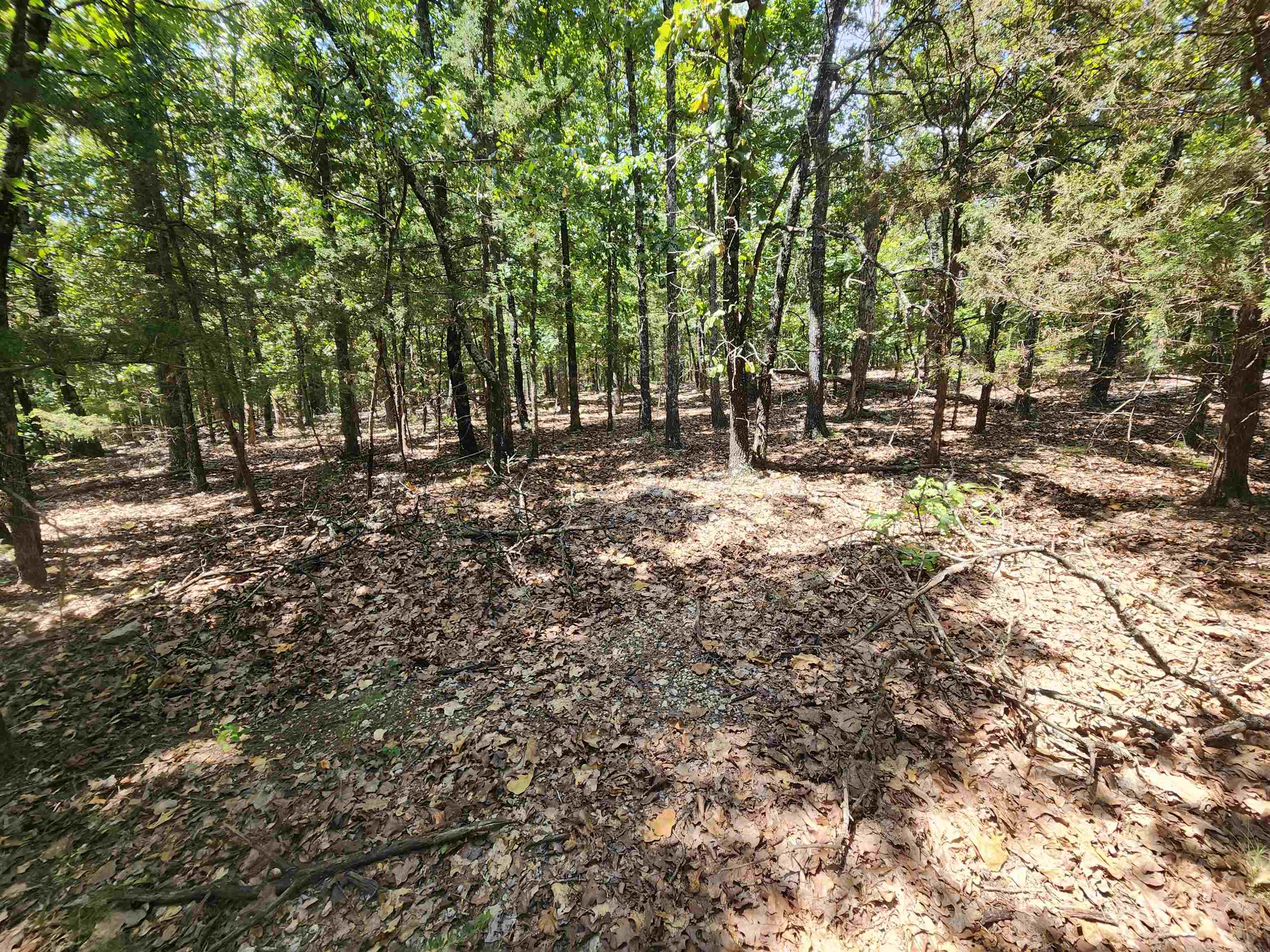 L101-103, B-3 Lightning Circle Property Photo 5
