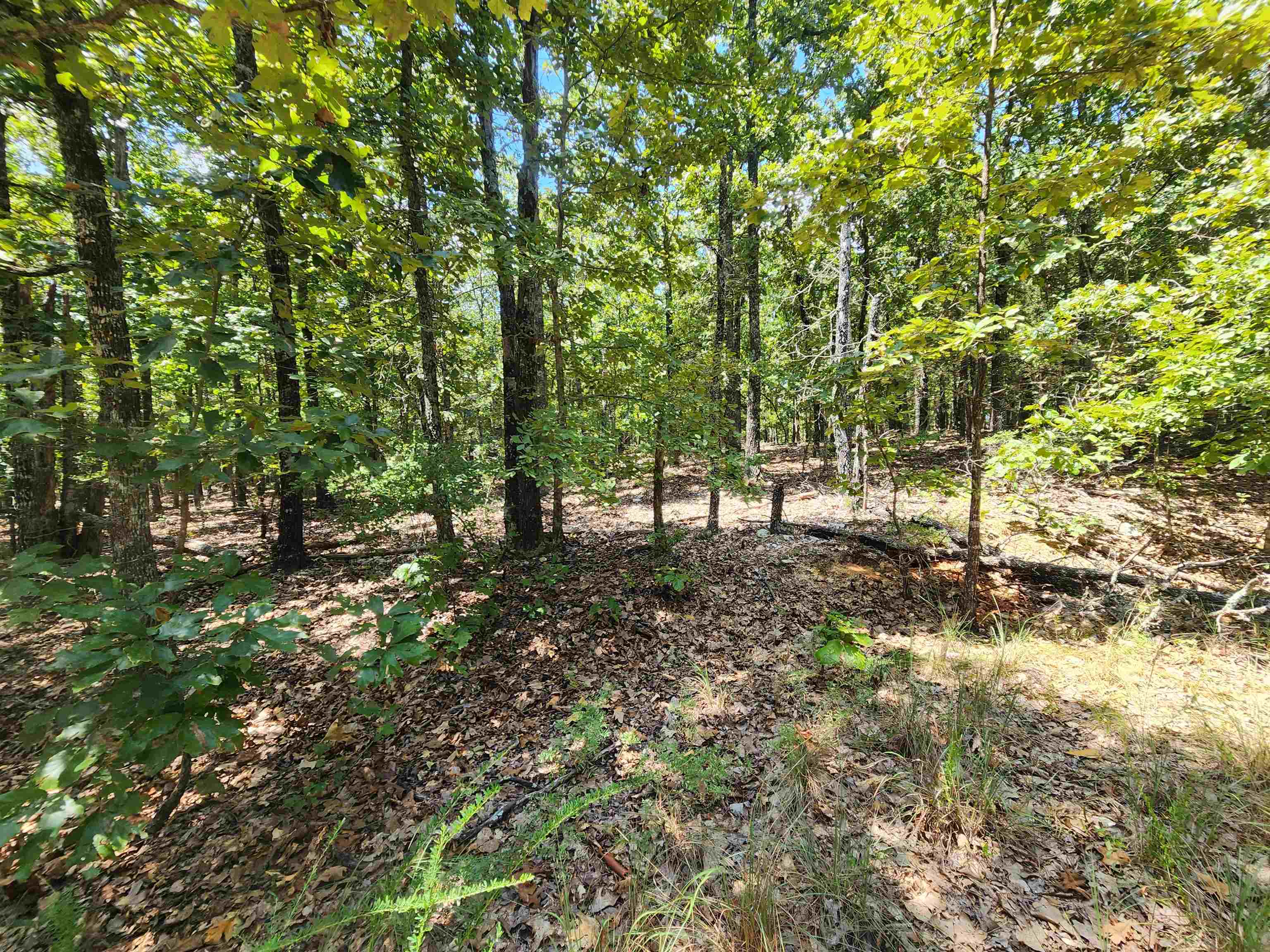 L101-103, B-3 Lightning Circle Property Photo 9