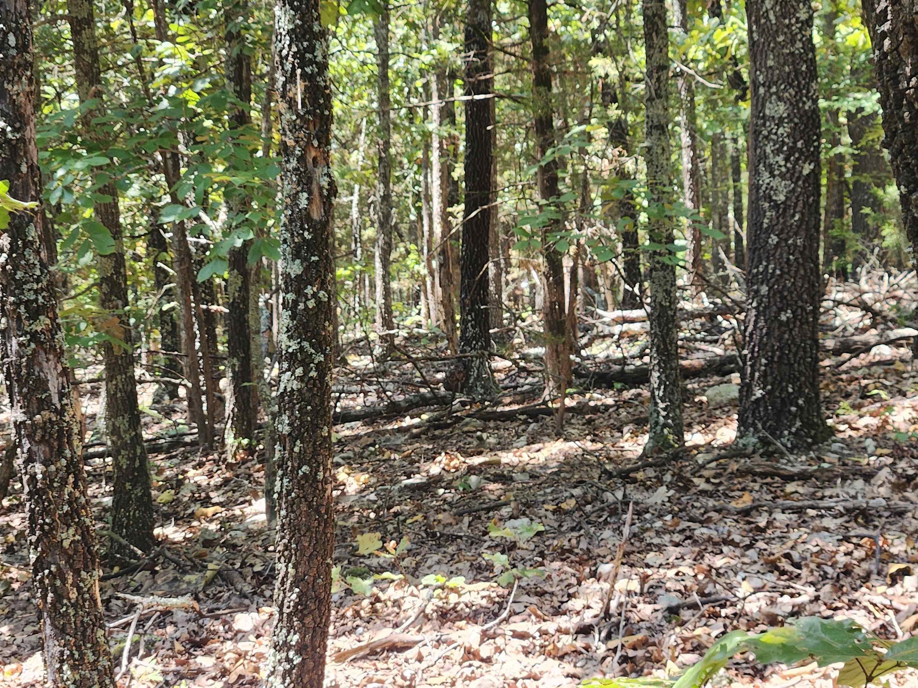 L101-103, B-3 Lightning Circle Property Photo 18