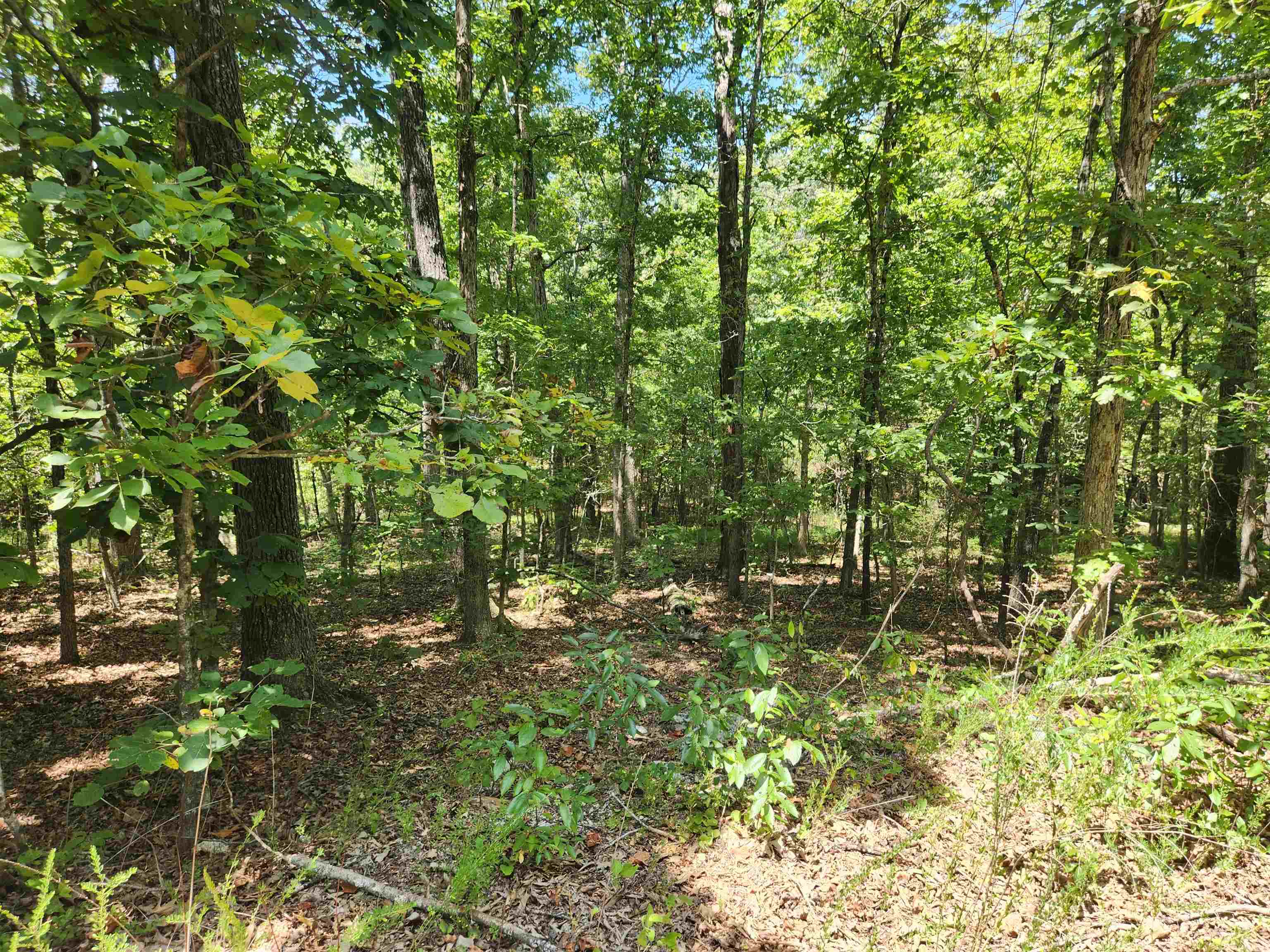 L-13, B-6 Calumet Drive Property Photo 2