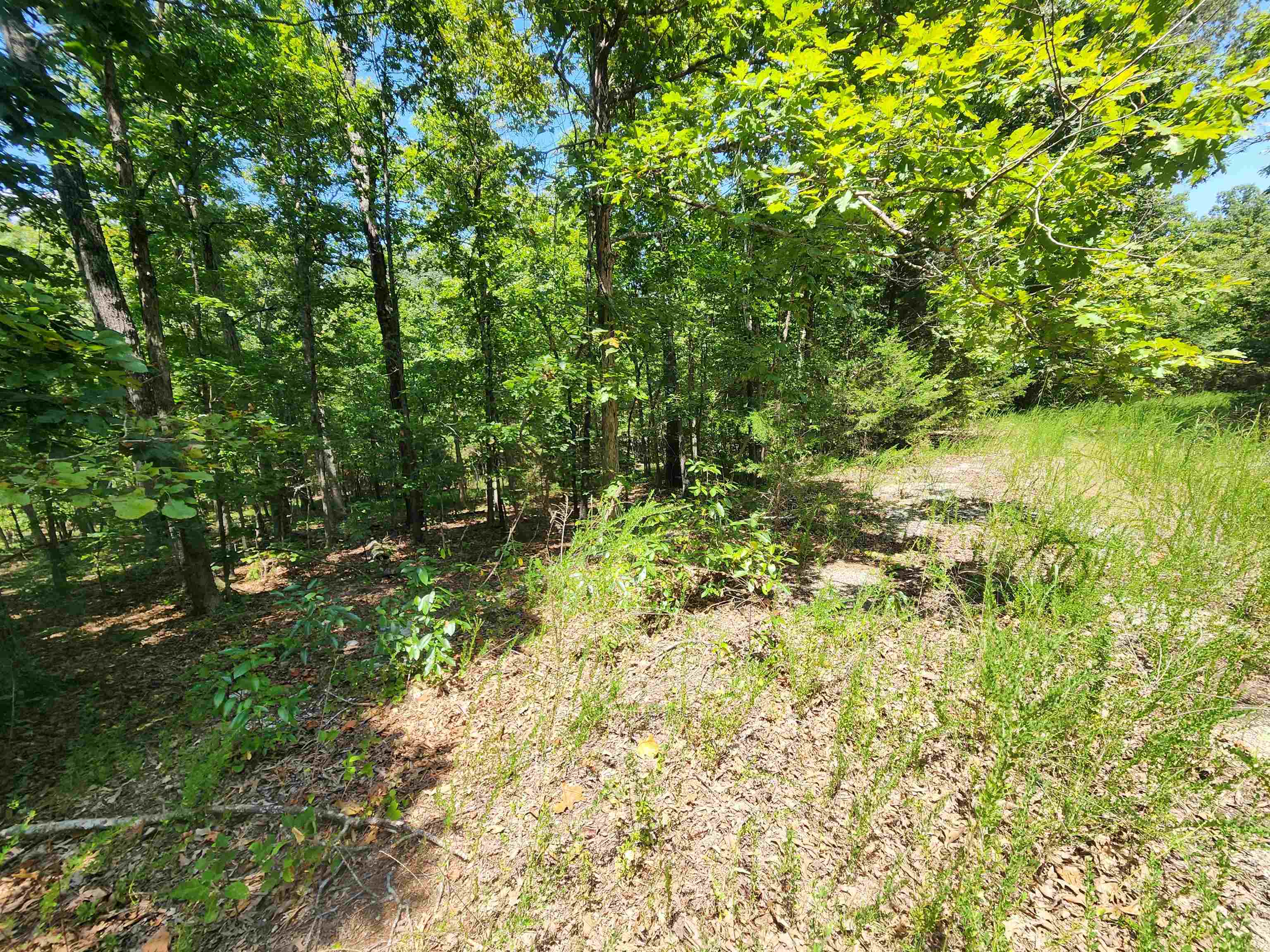 L-13, B-6 Calumet Drive Property Photo 3