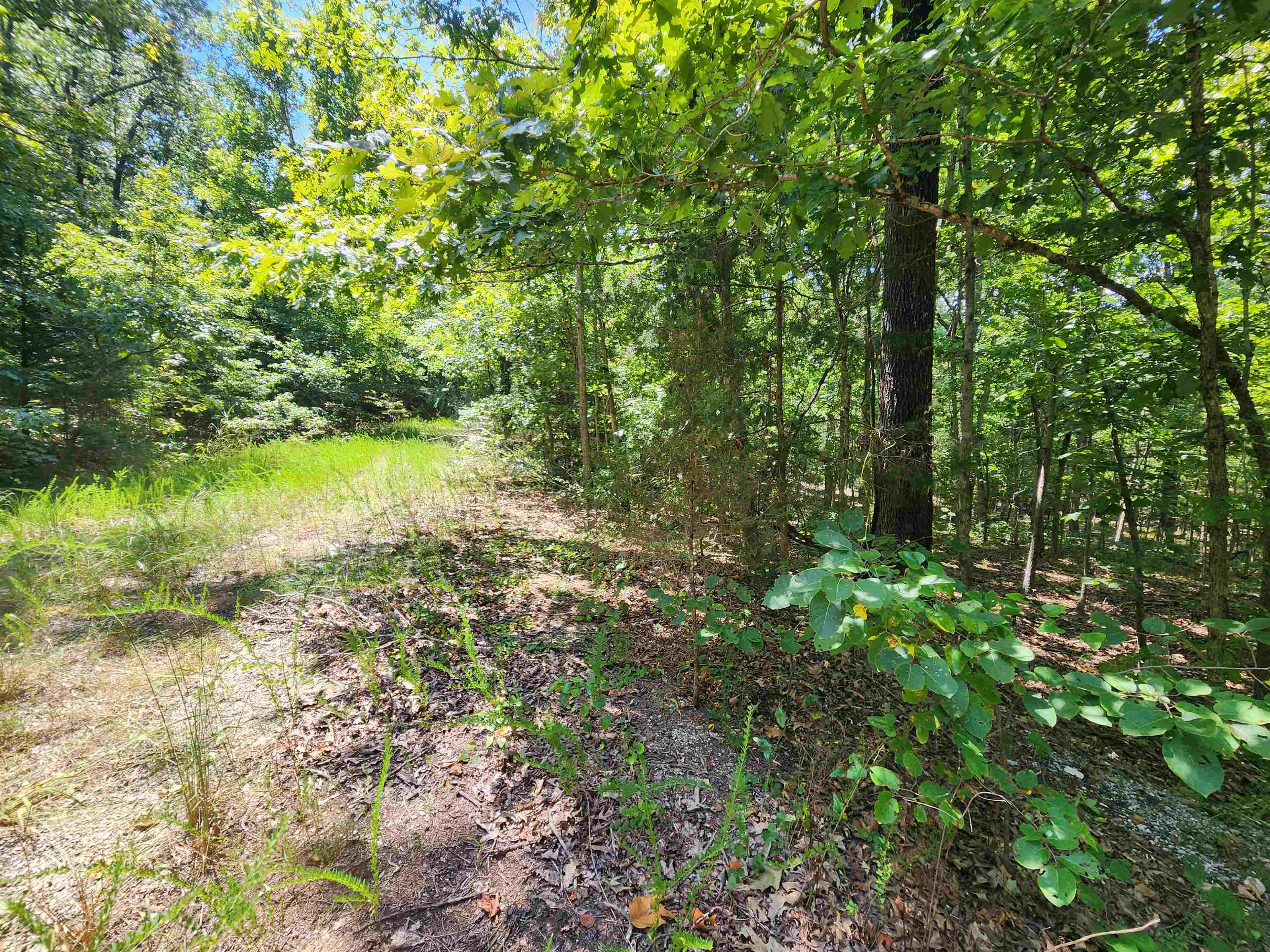 L-13, B-6 Calumet Drive Property Photo 4