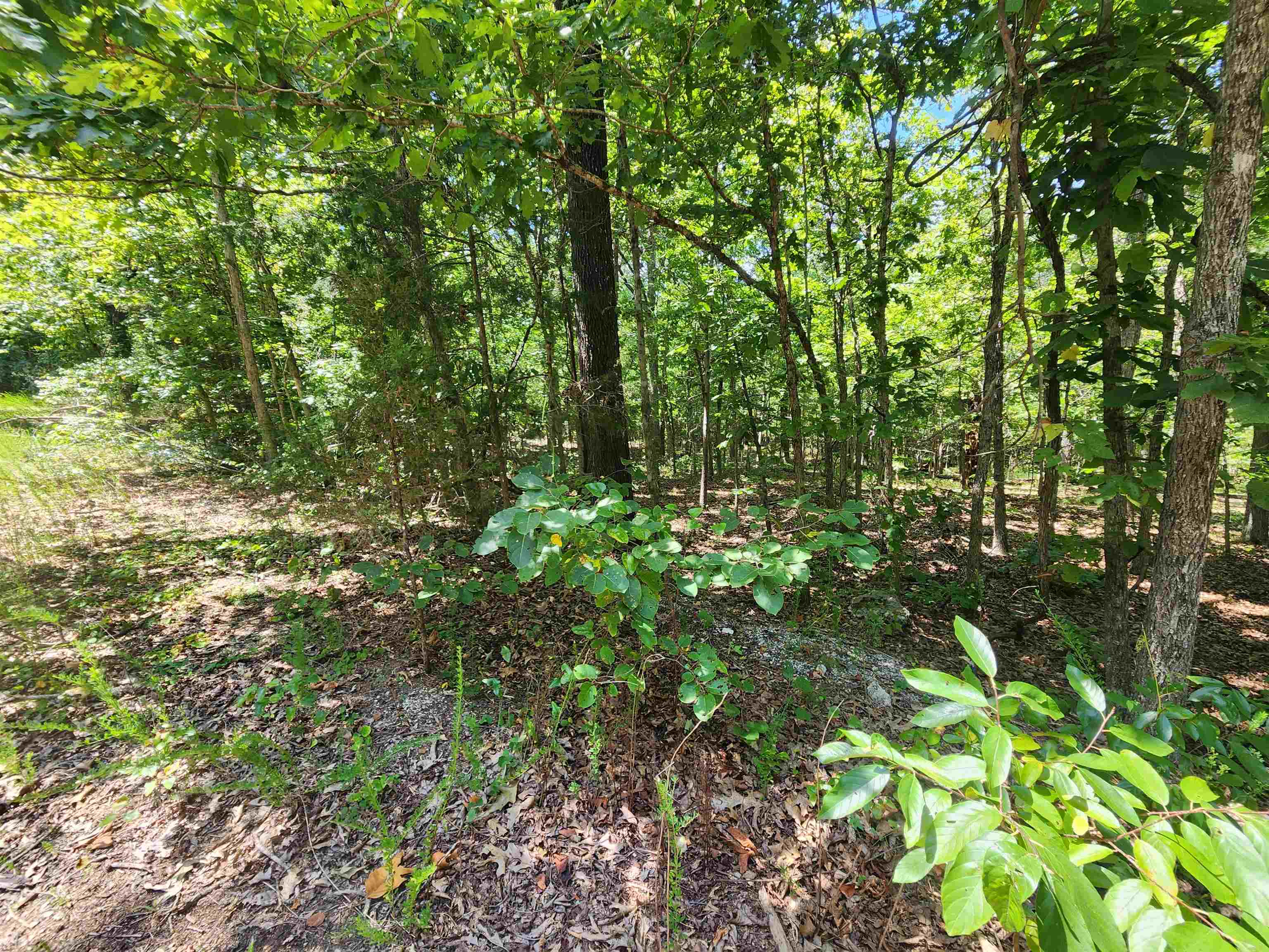 L-13, B-6 Calumet Drive Property Photo 5