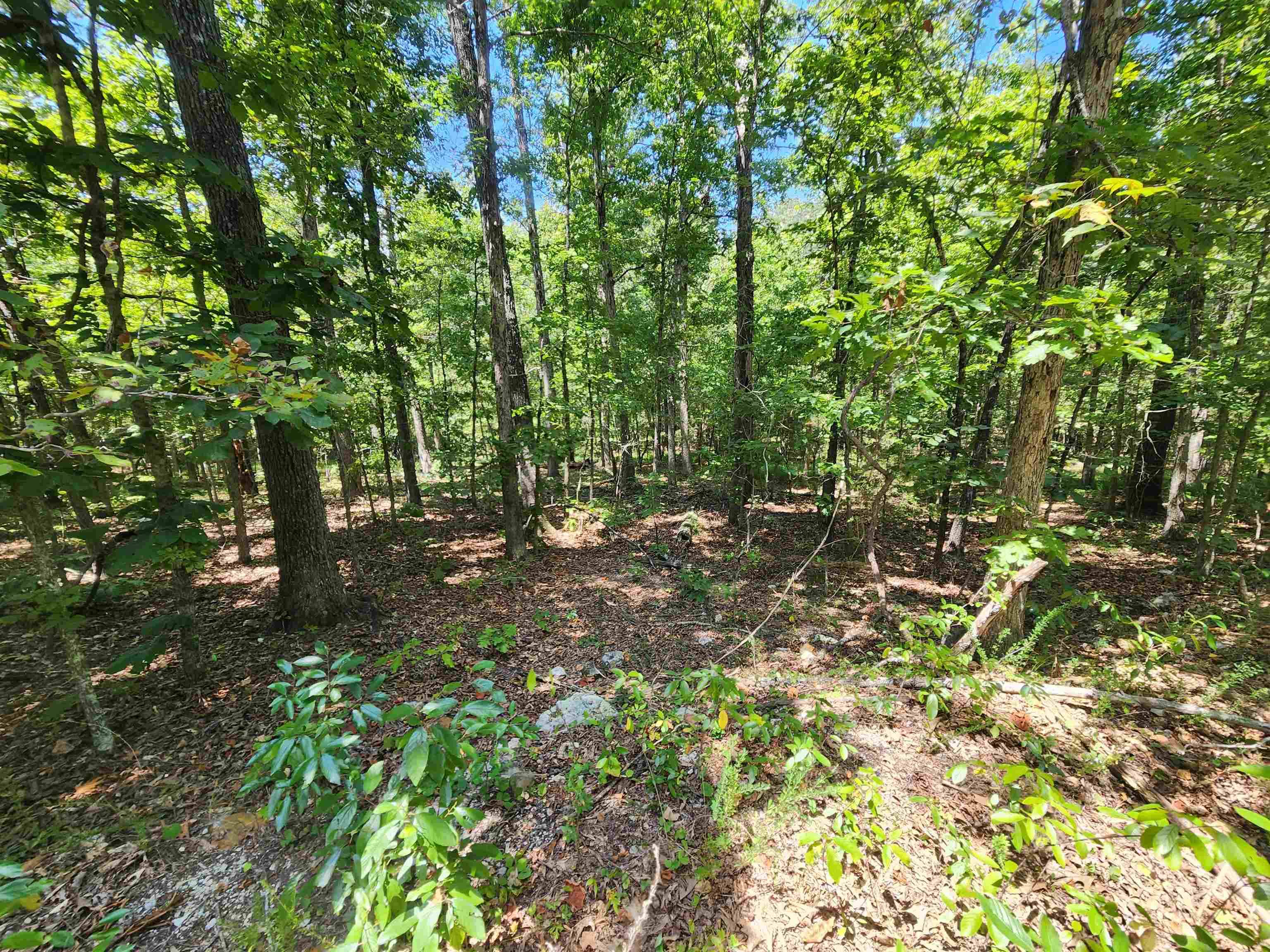 L-13, B-6 Calumet Drive Property Photo 9