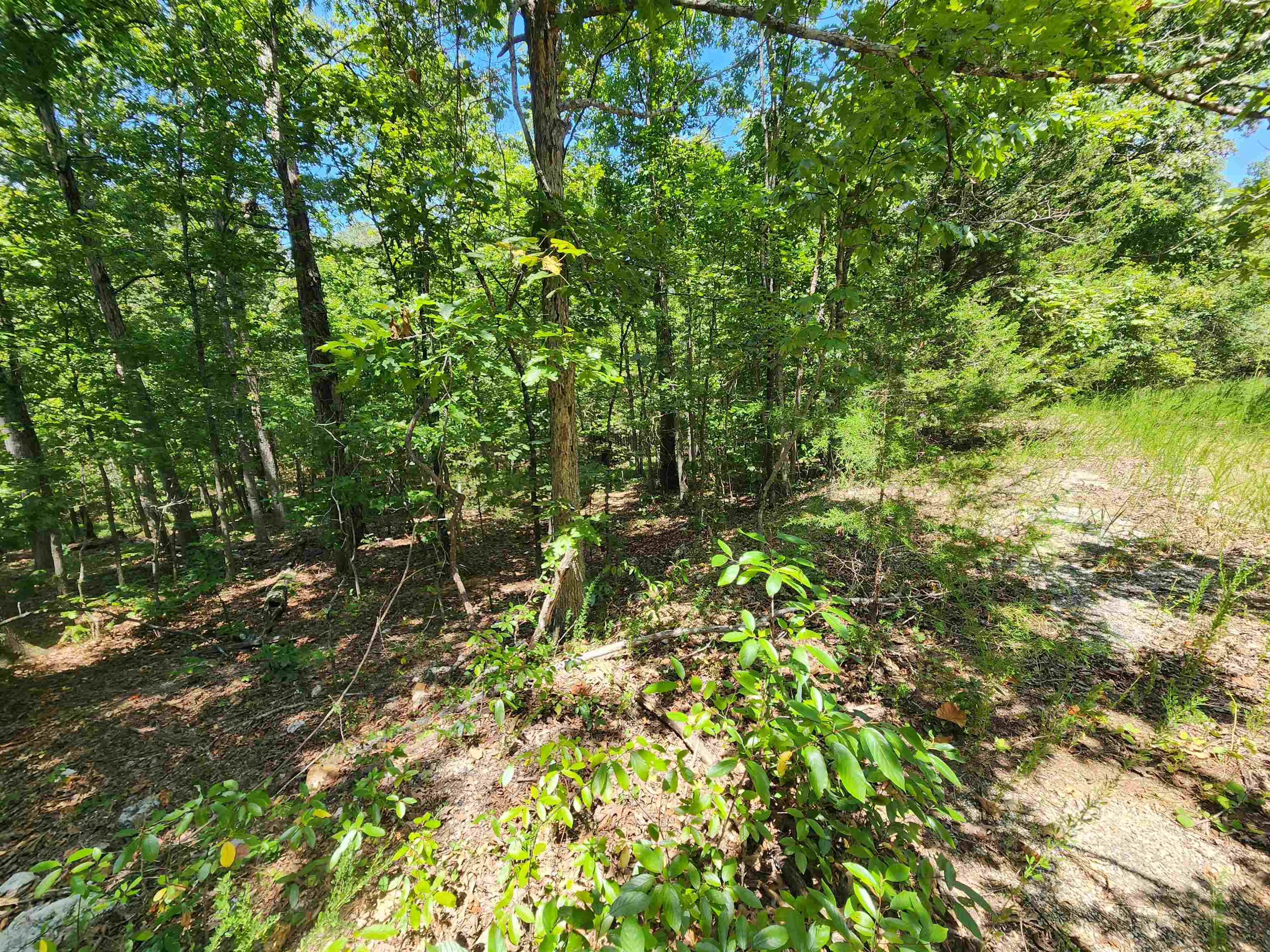 L-13, B-6 Calumet Drive Property Photo 10