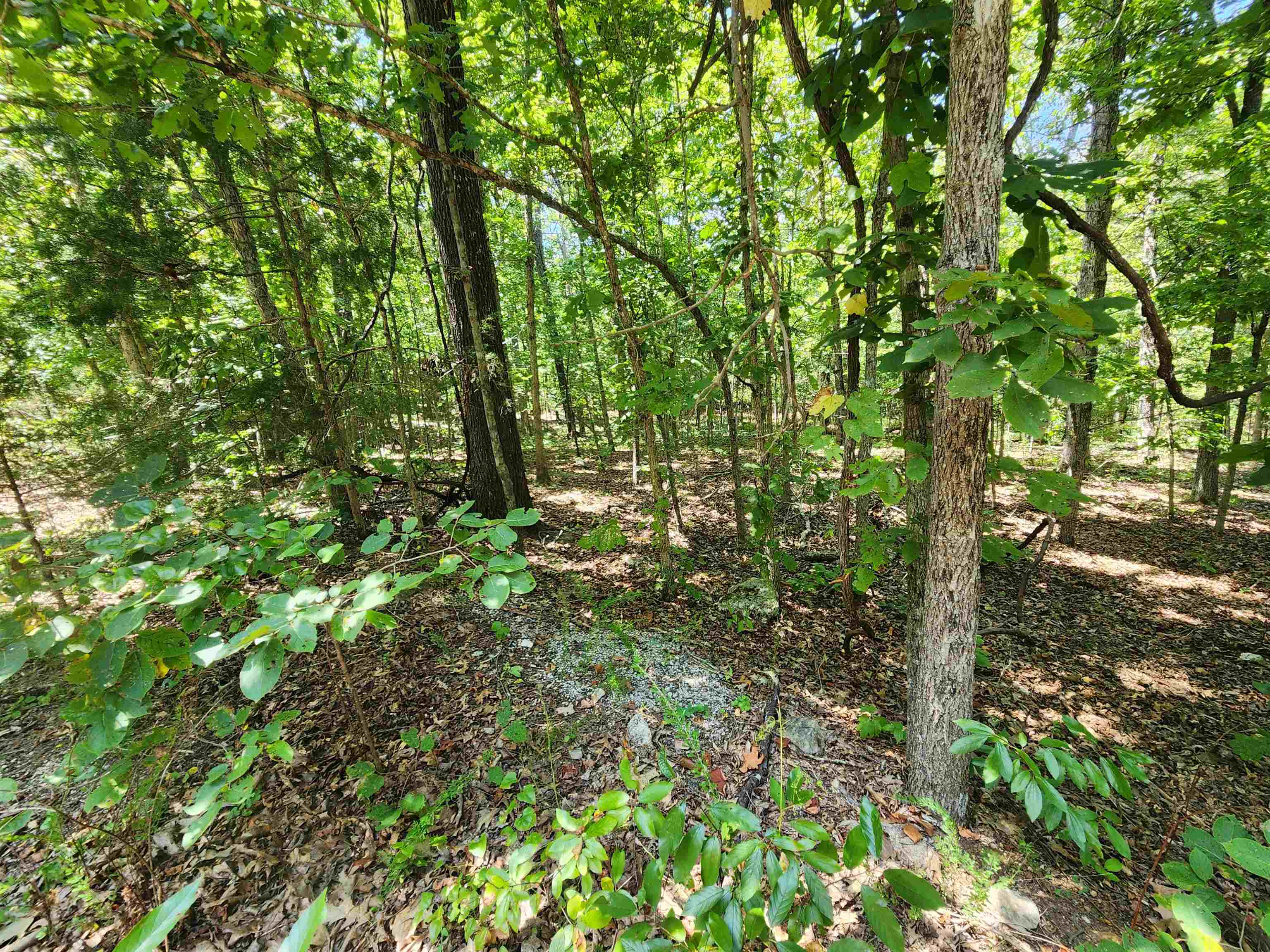 L-13, B-6 Calumet Drive Property Photo 11