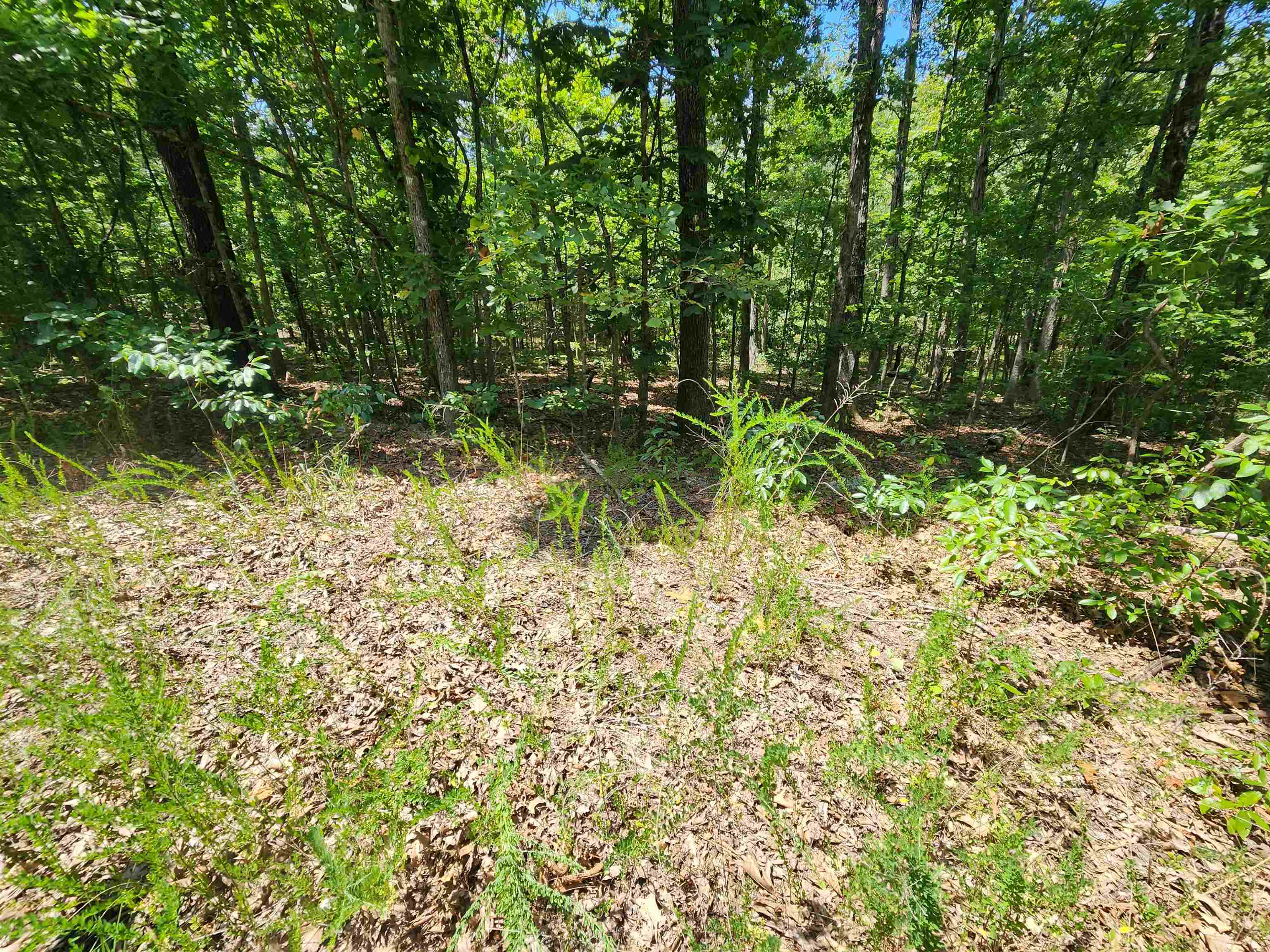 L-13, B-6 Calumet Drive Property Photo 13